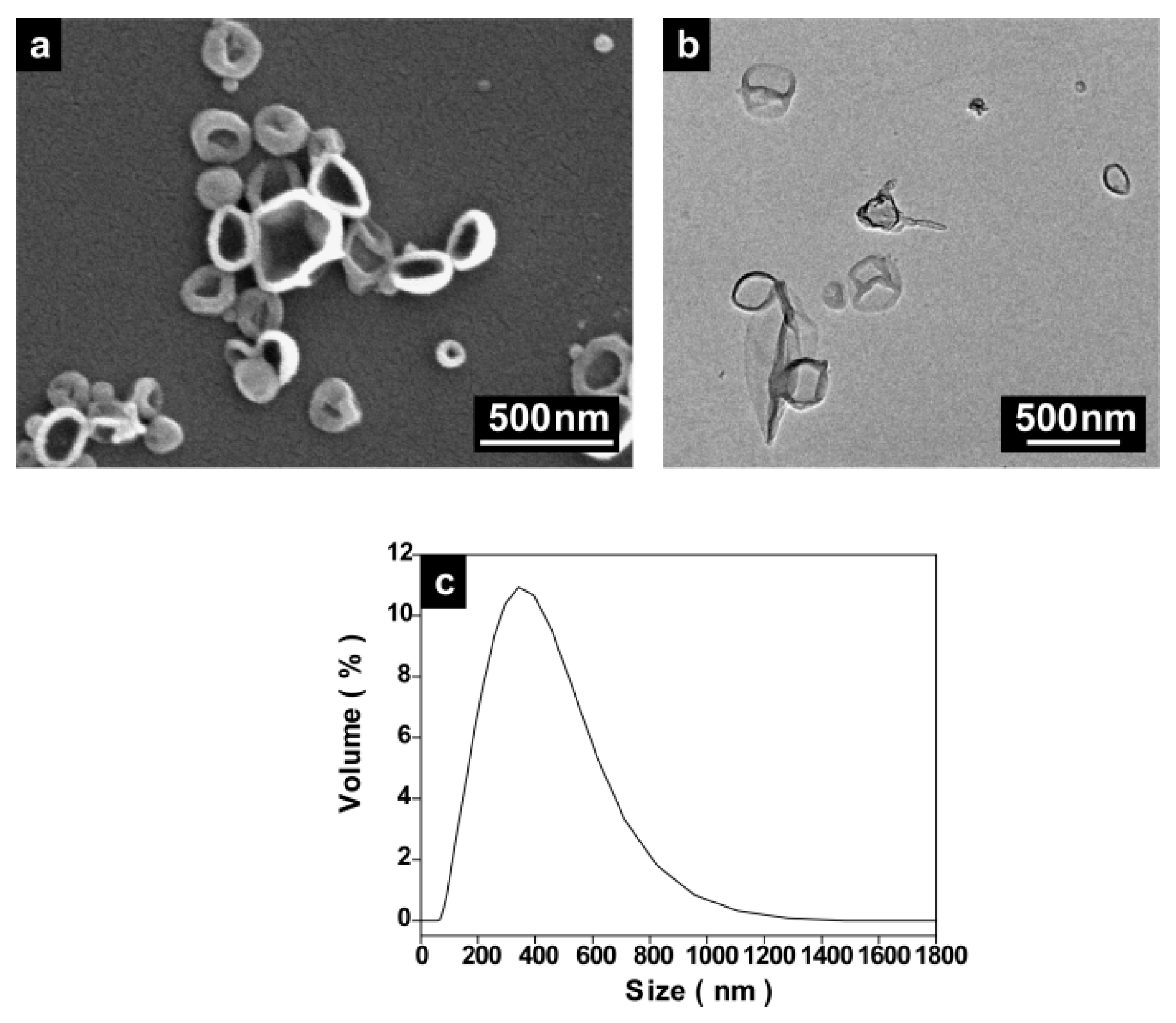 Molecules 24 02663 g006