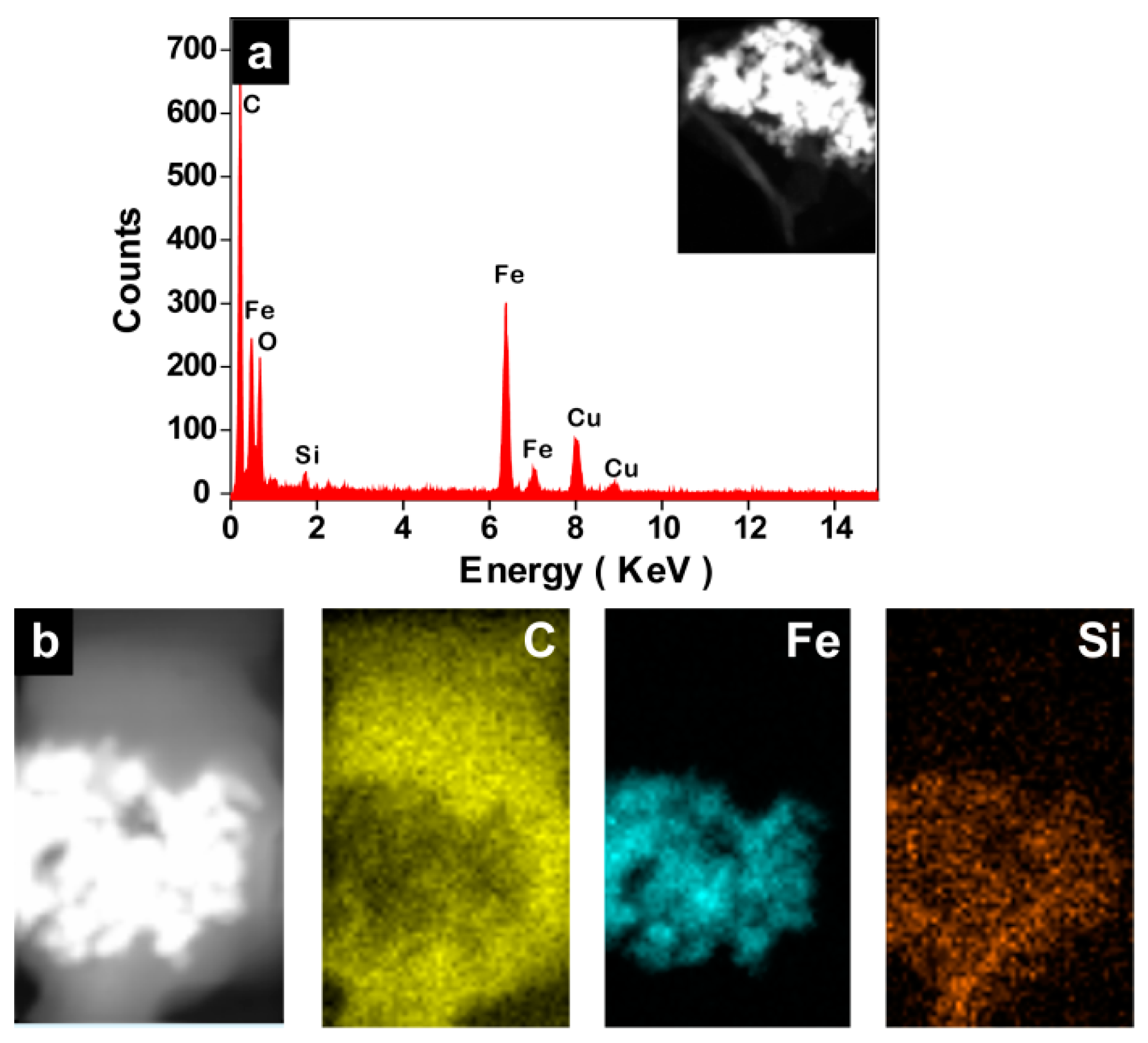 Molecules 24 02663 g012