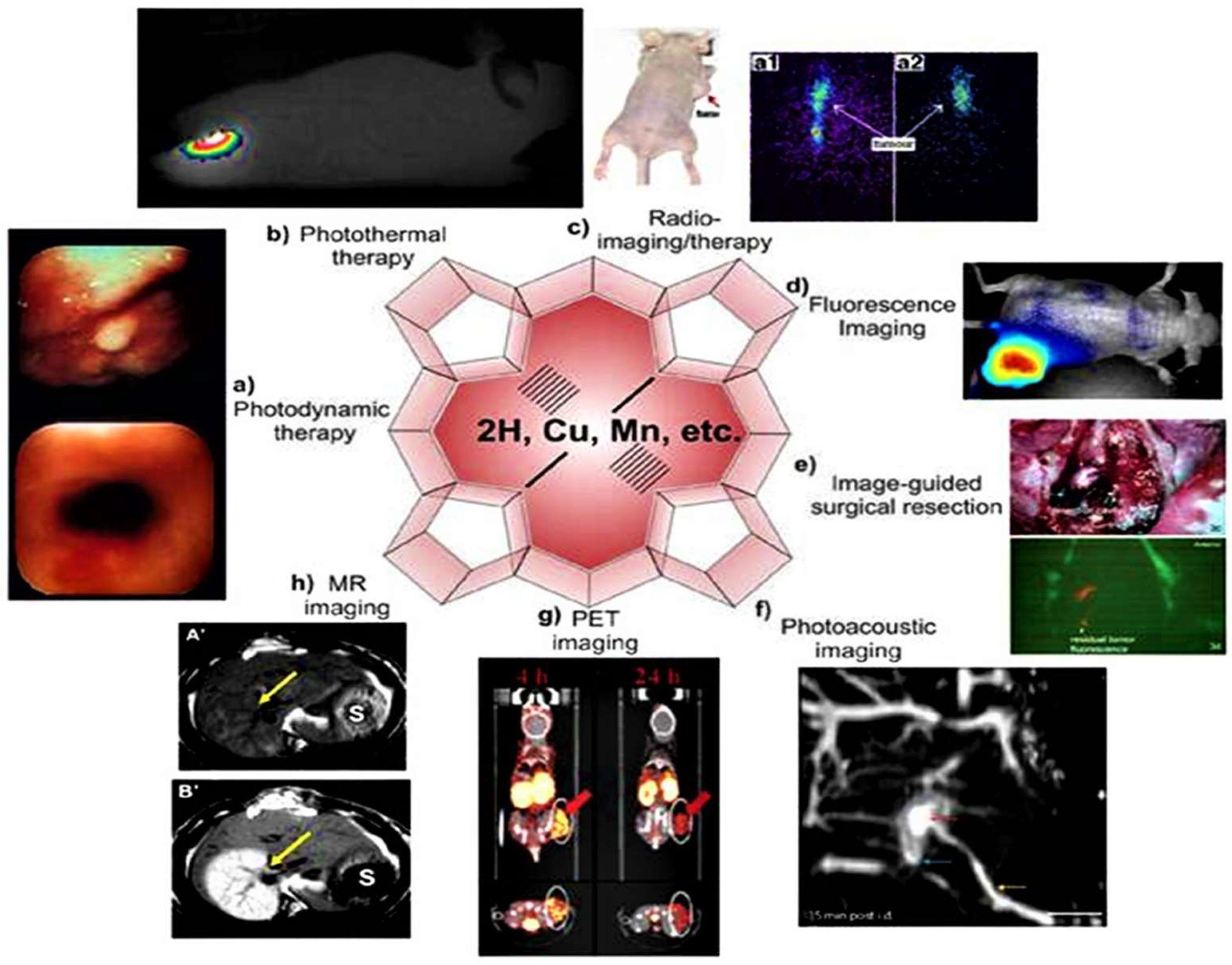 Molecules 24 02669 g002 Molecules 24 02669 g002