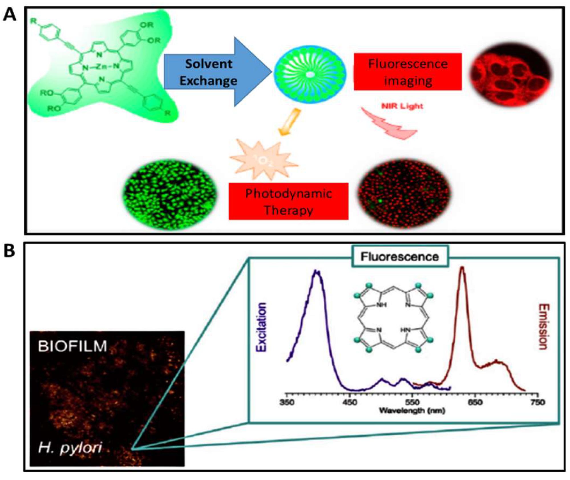 Molecules 24 02669 g004 Molecules 24 02669 g004