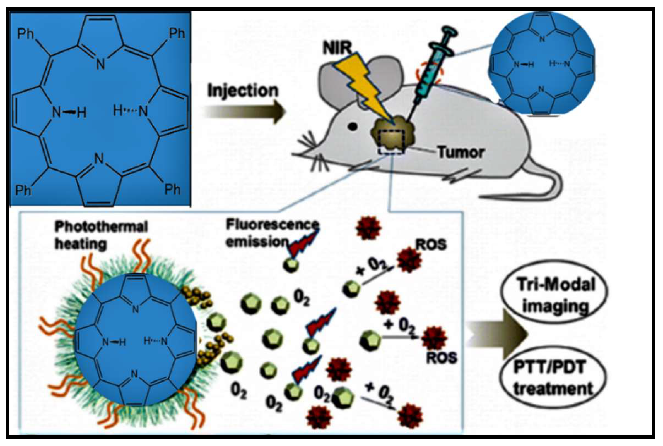 Molecules 24 02669 g007 Molecules 24 02669 g007