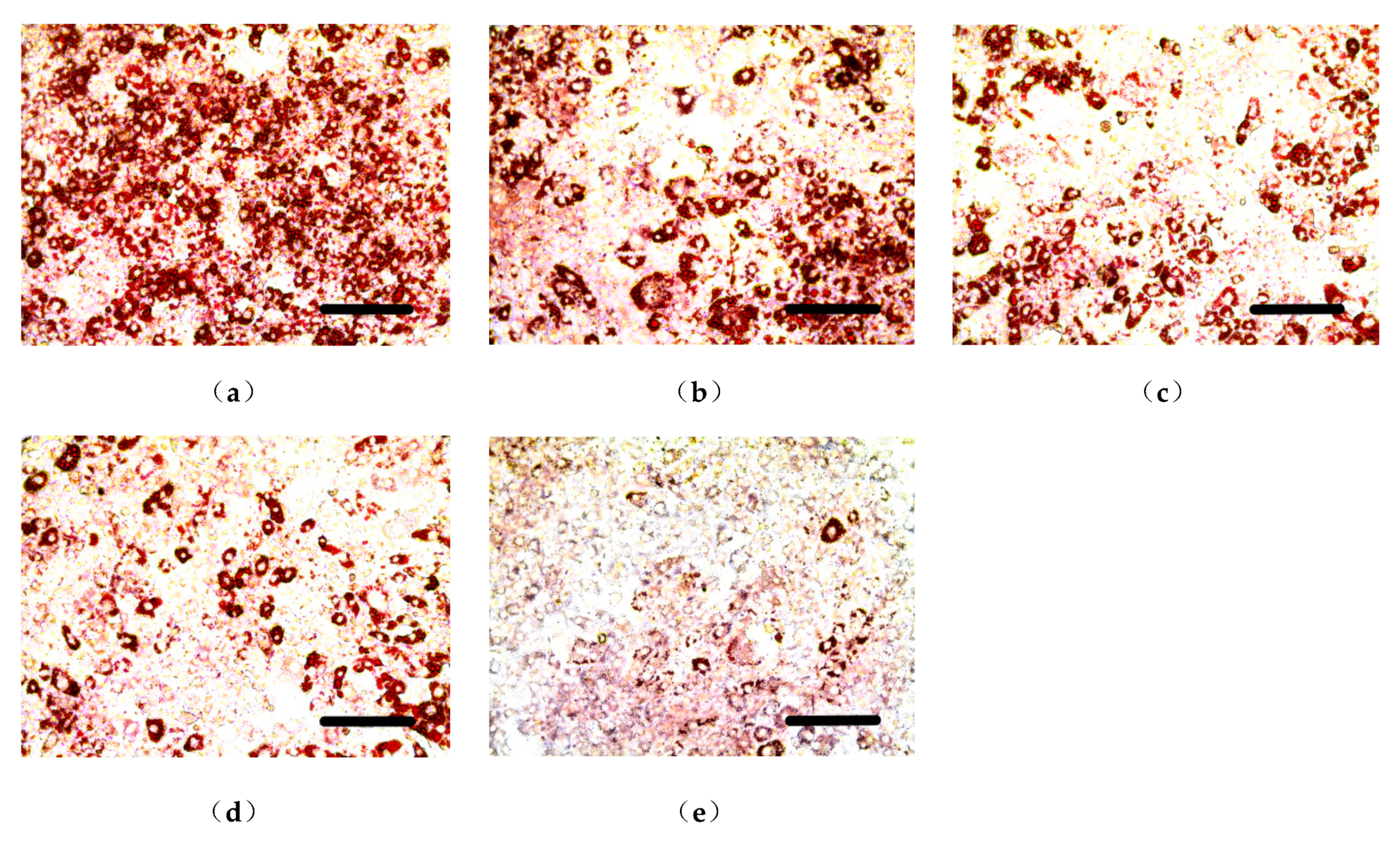 Molecules 24 02673 g001 Molecules 24 02673 g001