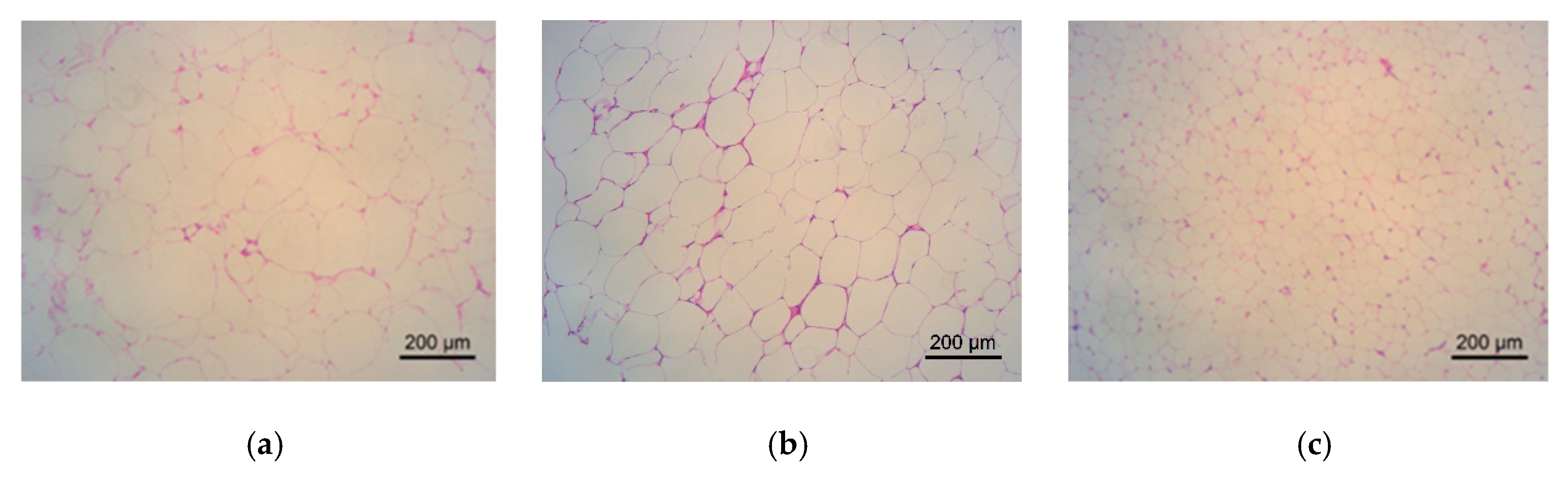 Molecules 24 02673 g008a Molecules 24 02673 g008a