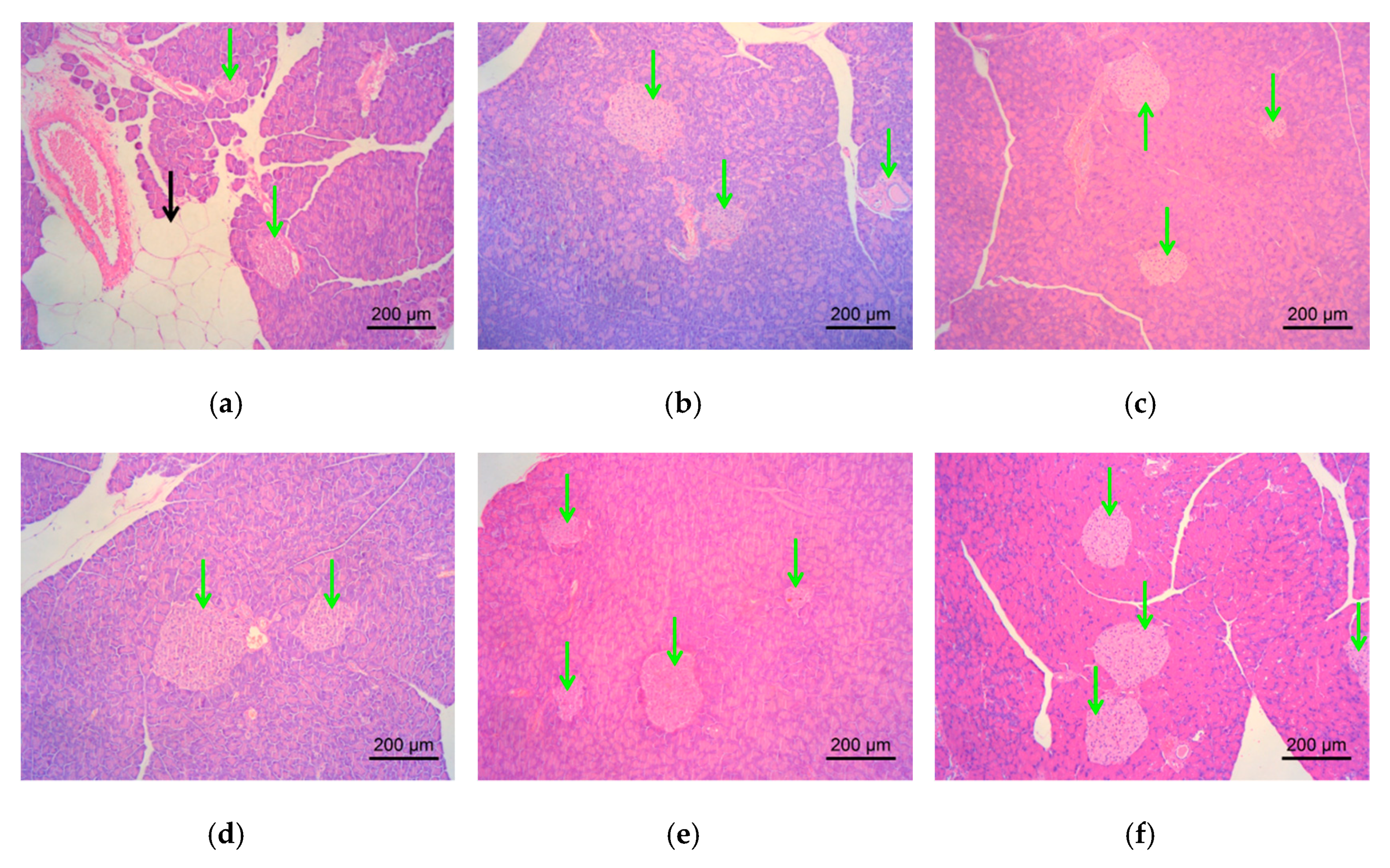 Molecules 24 02673 g010 Molecules 24 02673 g010