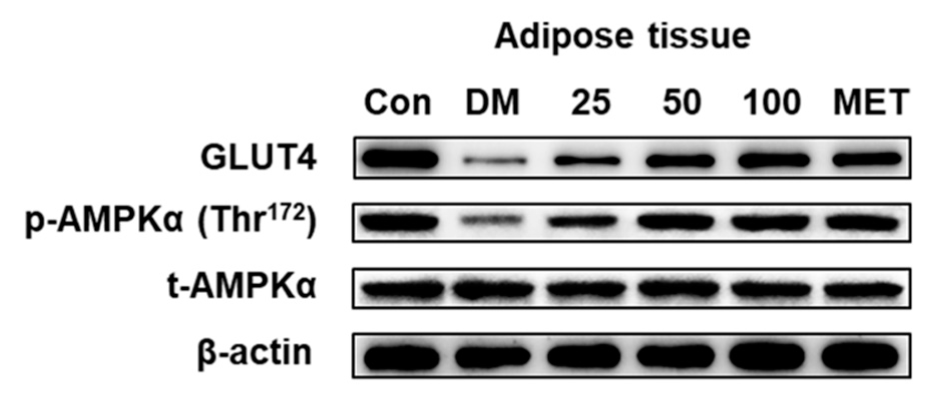 Molecules 24 02673 g014 Molecules 24 02673 g014