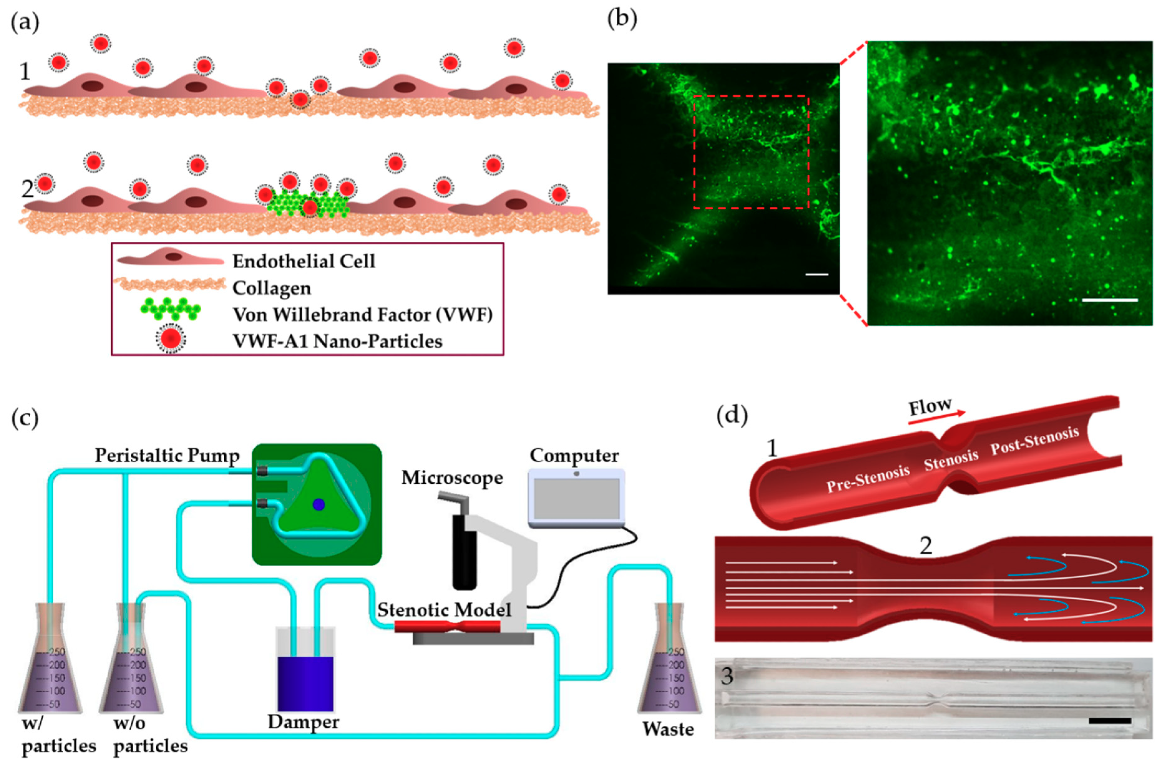 Molecules 24 02679 g001 Molecules 24 02679 g001