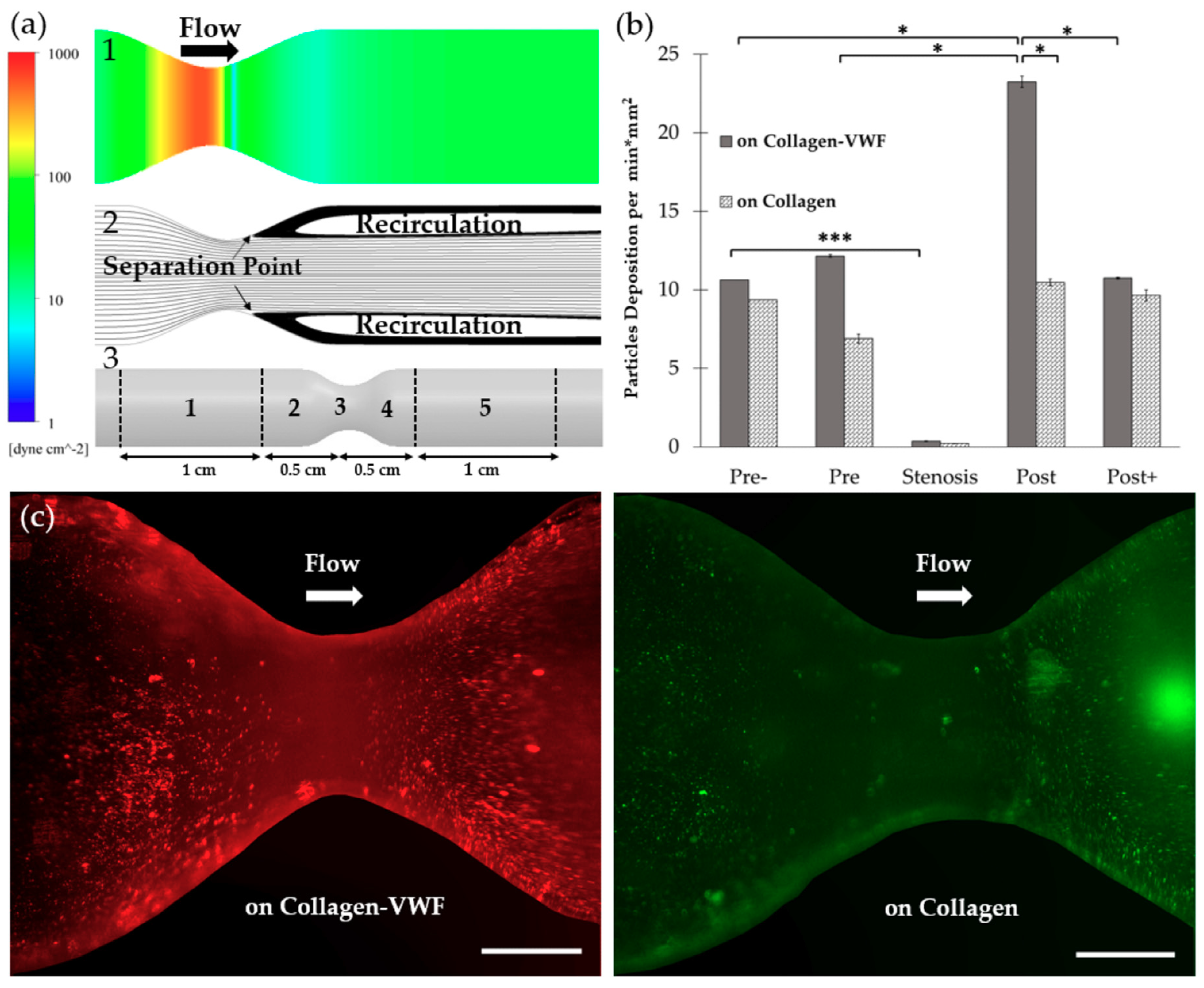 Molecules 24 02679 g002 Molecules 24 02679 g002