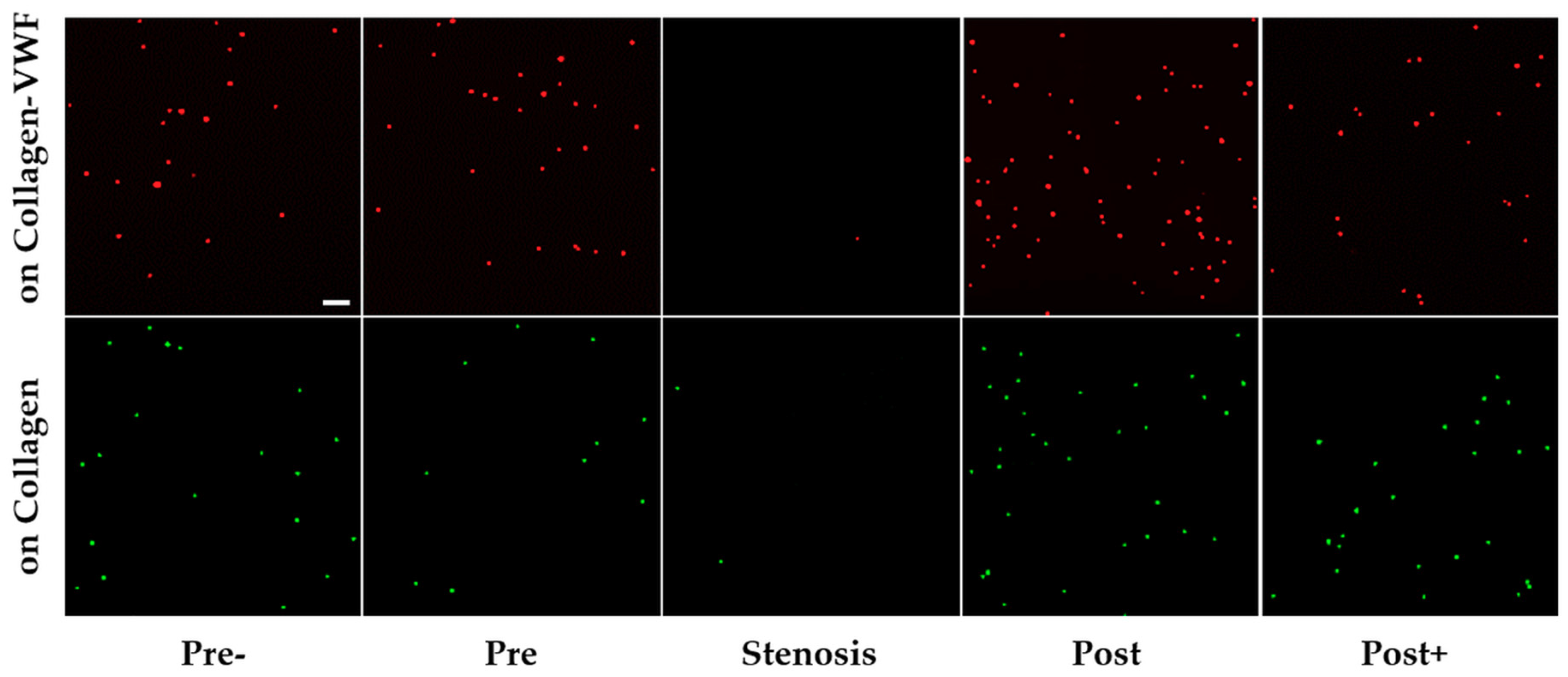 Molecules 24 02679 g003 Molecules 24 02679 g003