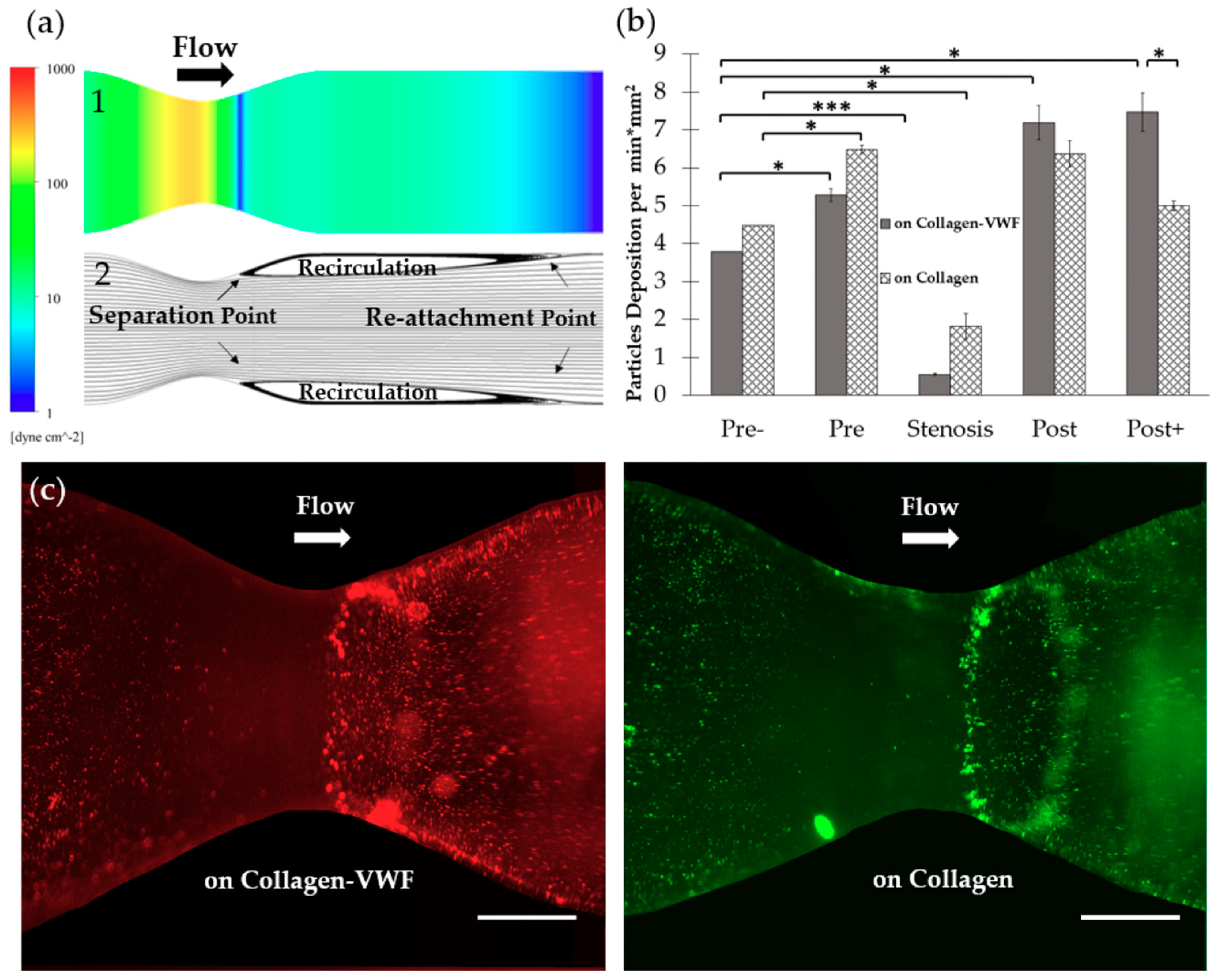 Molecules 24 02679 g005 Molecules 24 02679 g005