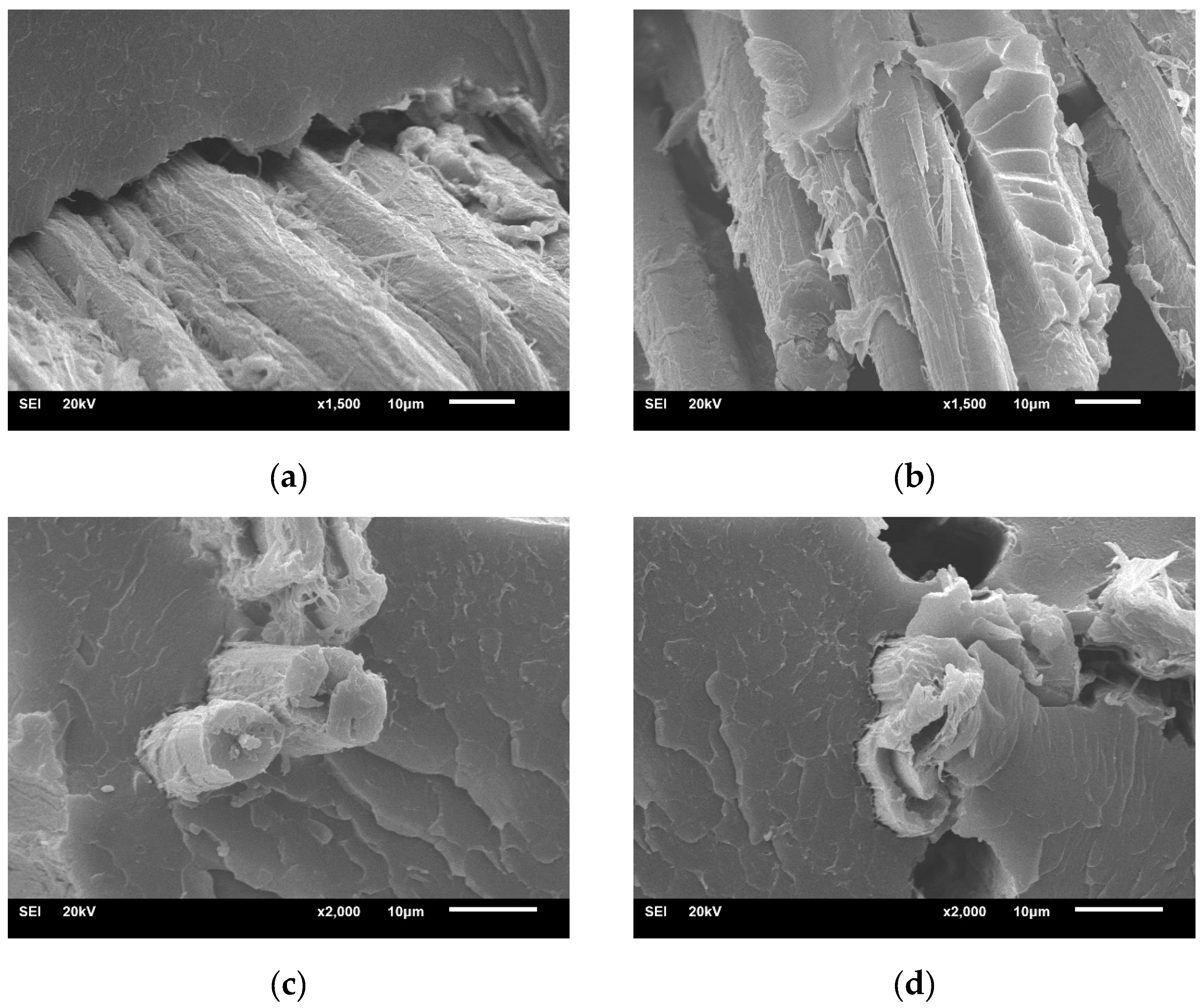 Molecules 24 02682 g002 Molecules 24 02682 g002