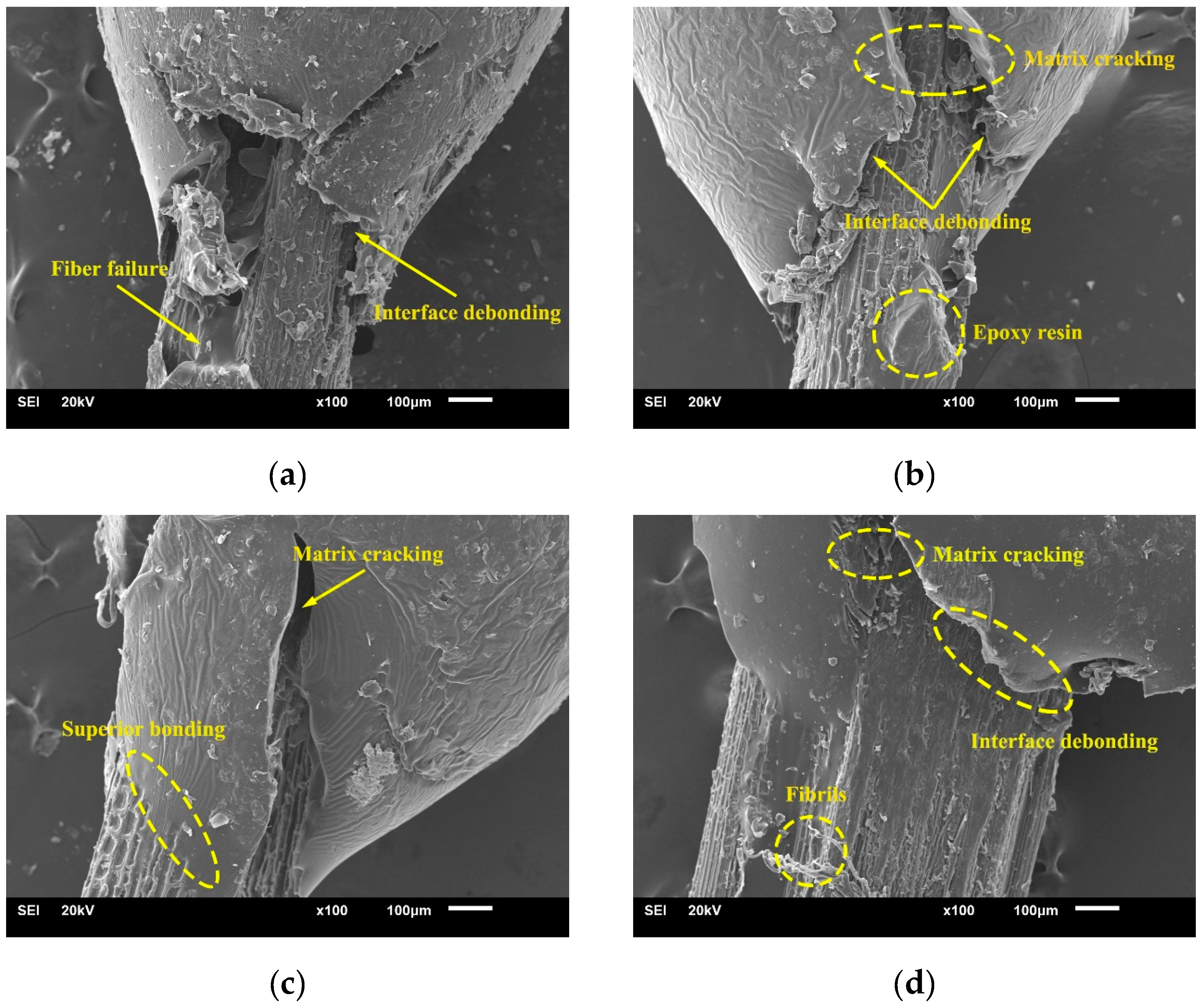 Molecules 24 02682 g004 Molecules 24 02682 g004