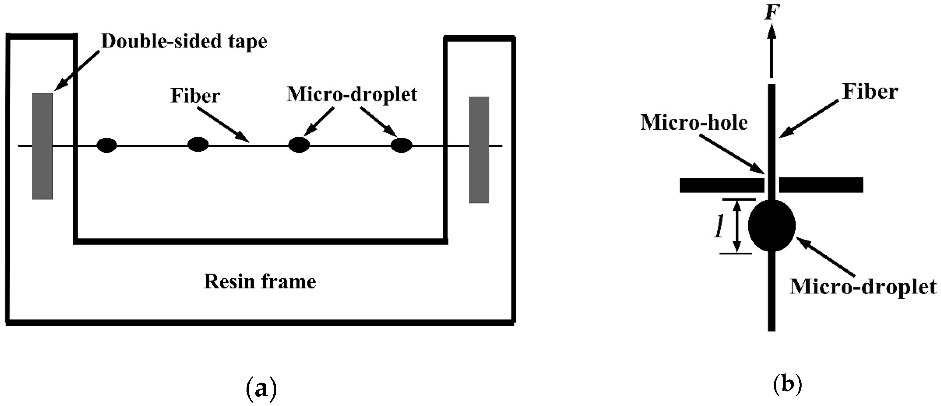 Molecules 24 02682 g007 Molecules 24 02682 g007