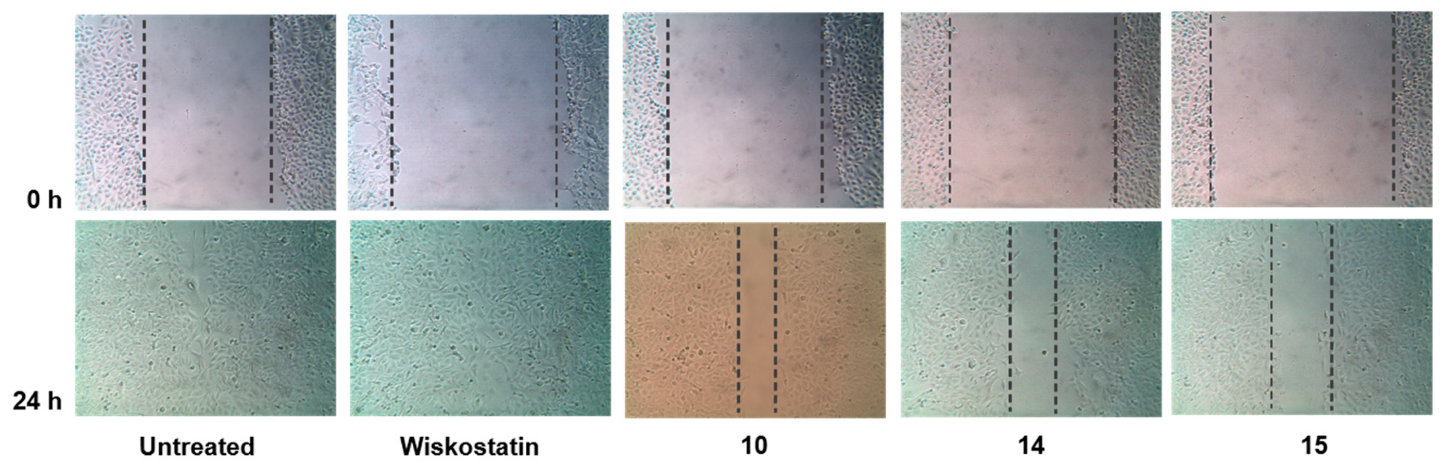 Molecules 24 02686 g003
