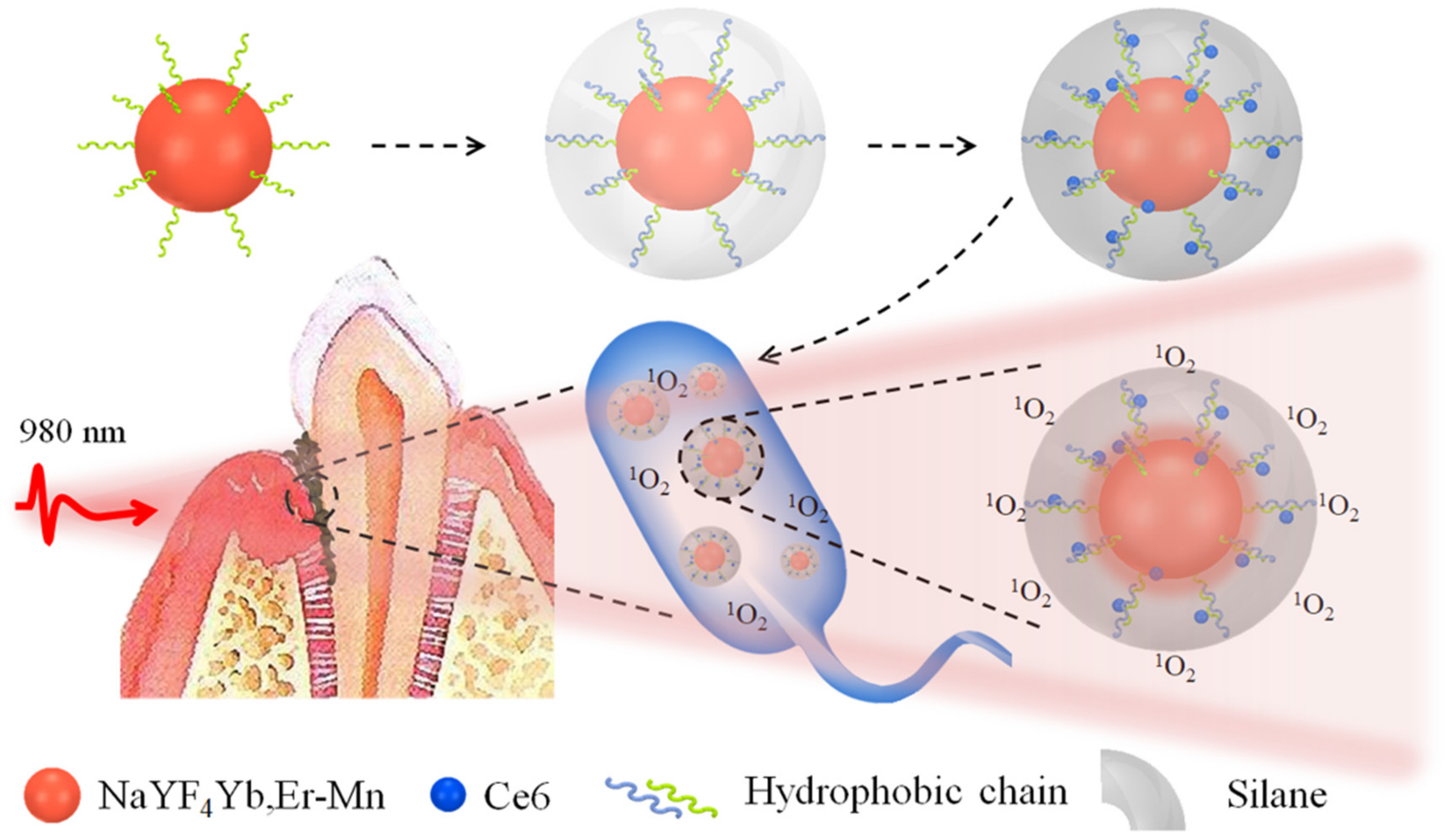 Molecules 24 02692 g001