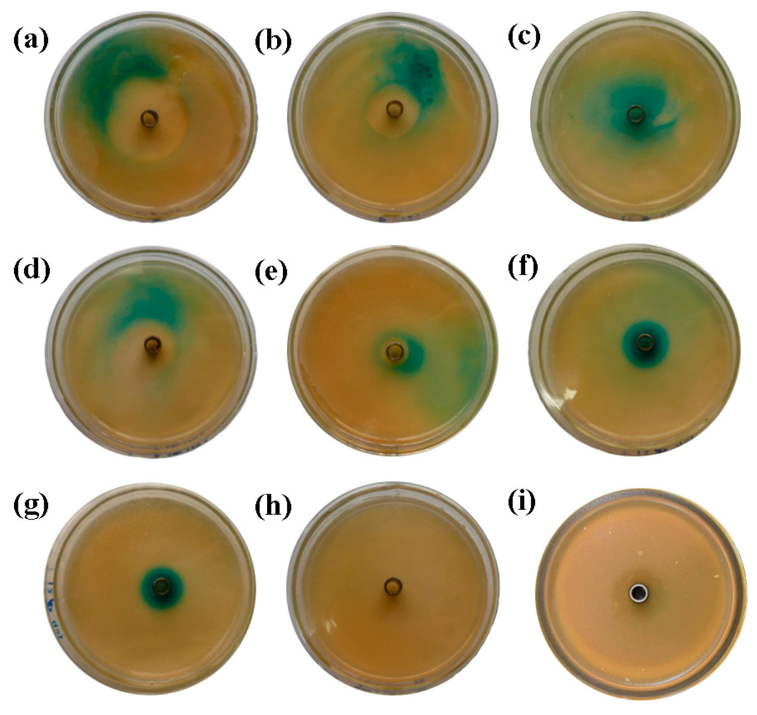 Molecules 24 02694 g001 Molecules 24 02694 g001