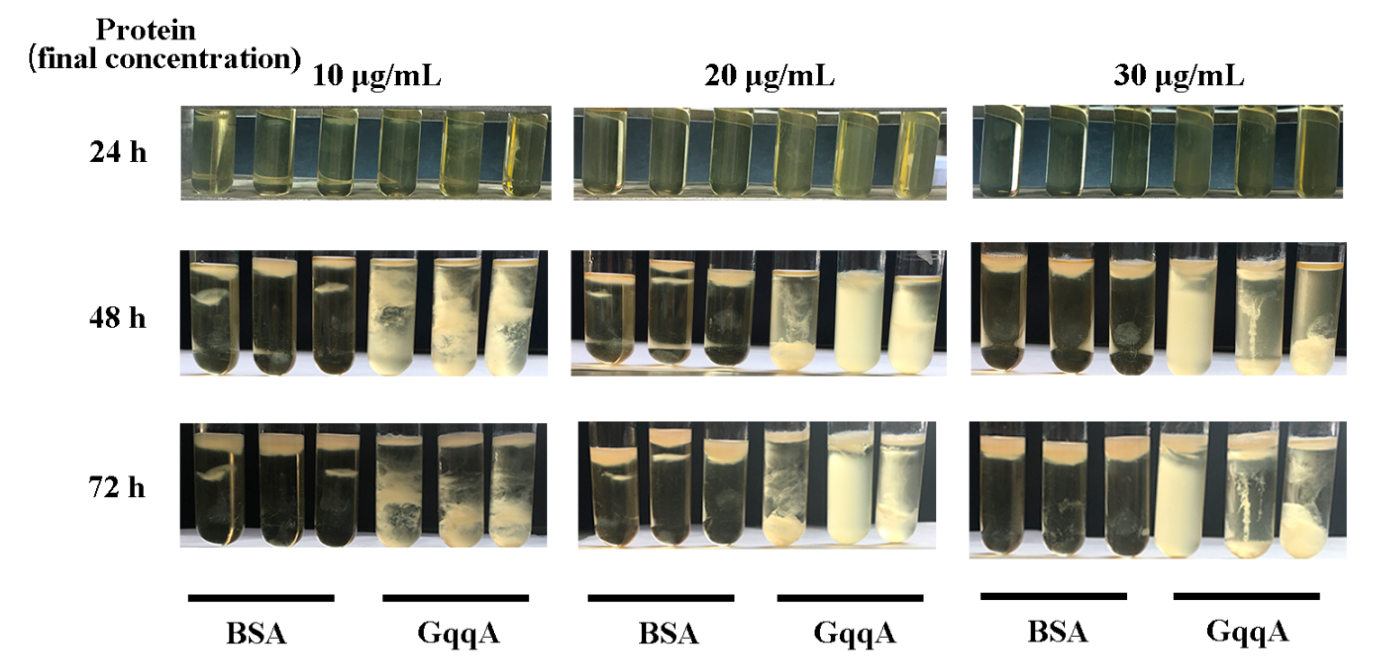 Molecules 24 02694 g004 Molecules 24 02694 g004
