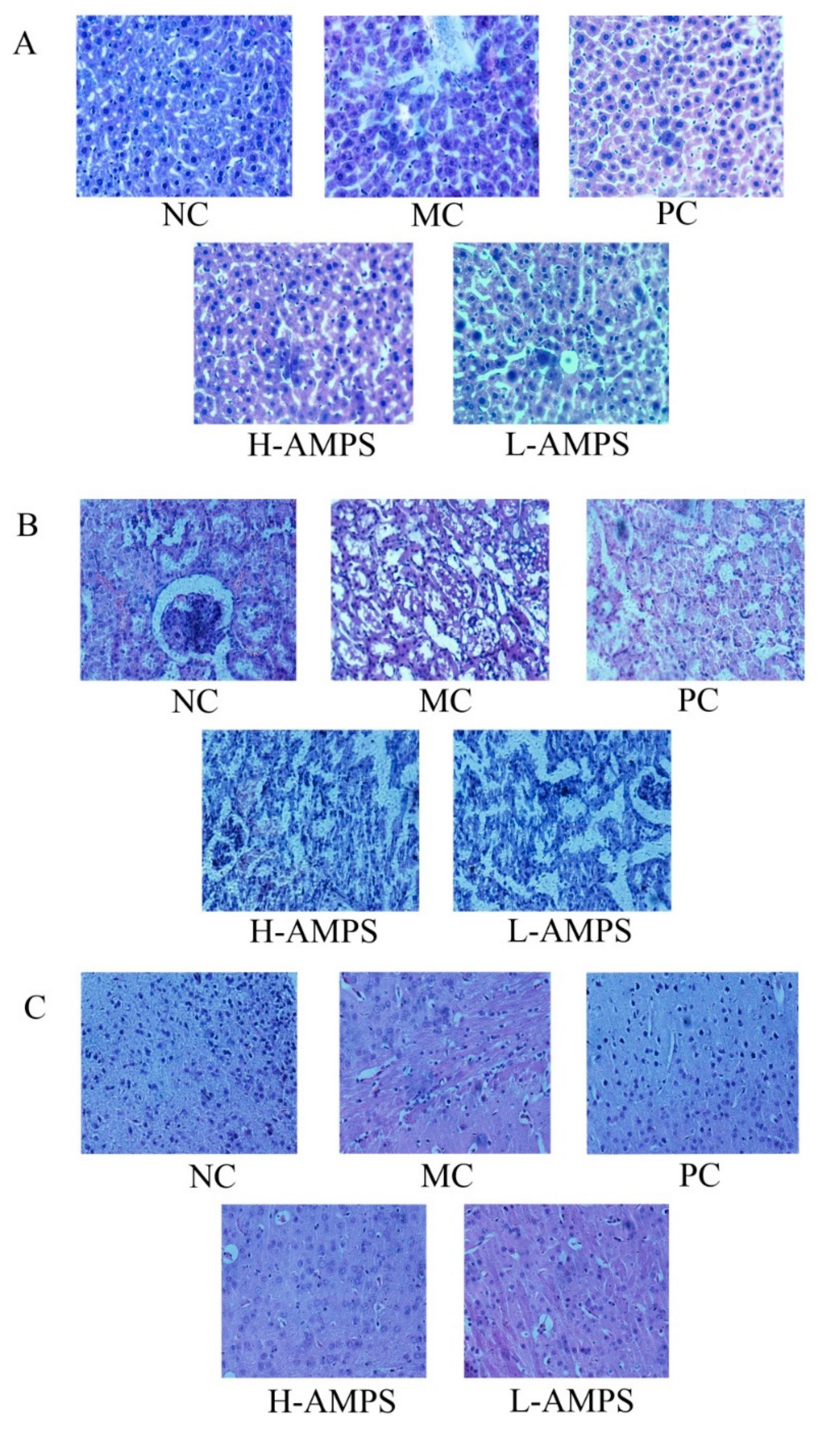 Molecules 24 02698 g008 Molecules 24 02698 g008
