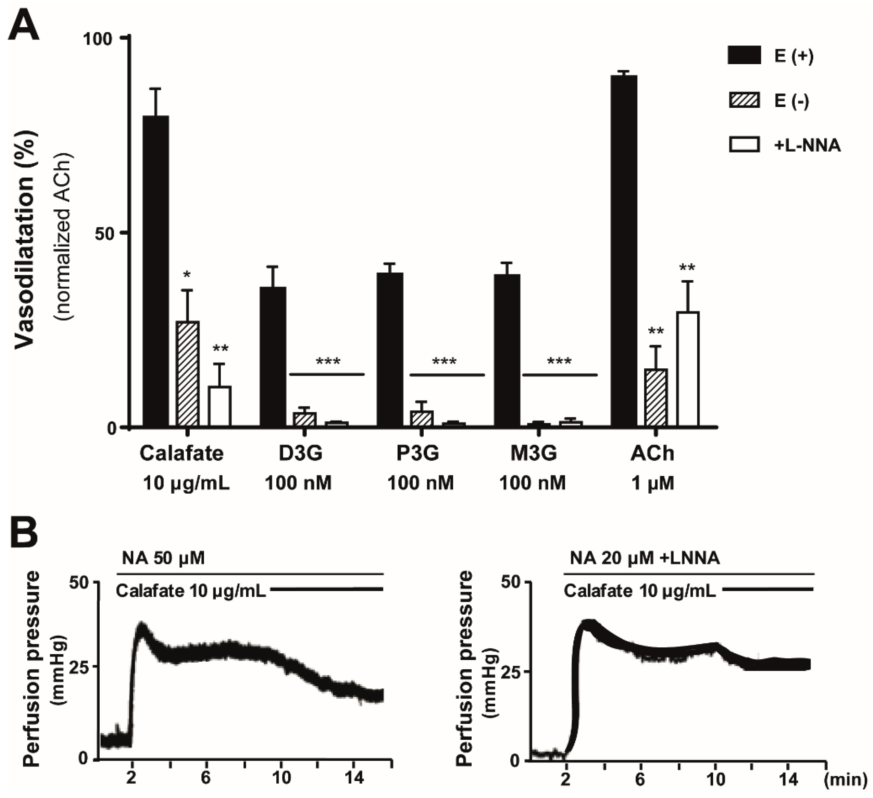Molecules 24 02700 g004 Molecules 24 02700 g004