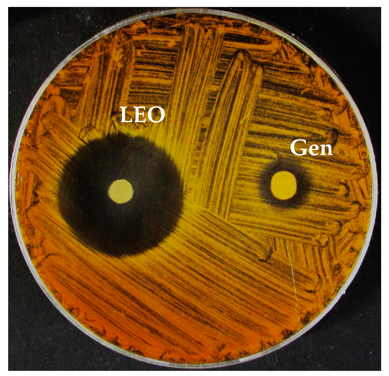 Molecules 24 02701 g001 Molecules 24 02701 g001