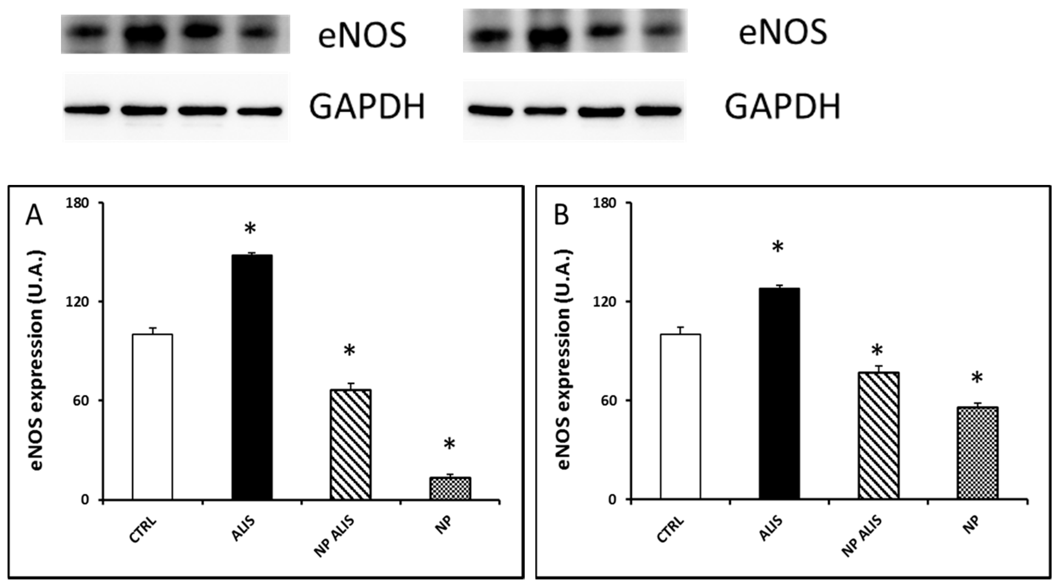 Molecules 24 02710 g007 Molecules 24 02710 g007