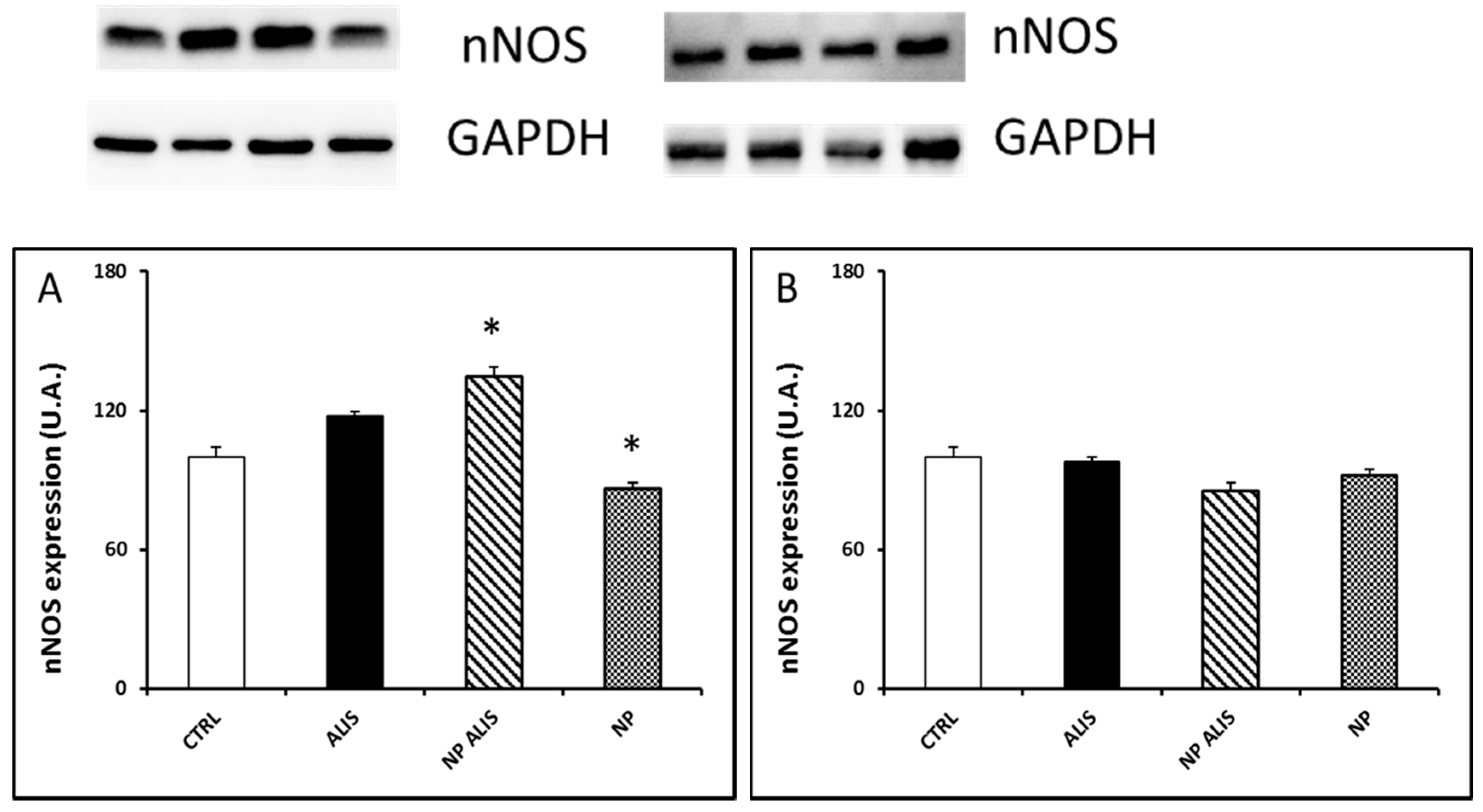 Molecules 24 02710 g008 Molecules 24 02710 g008