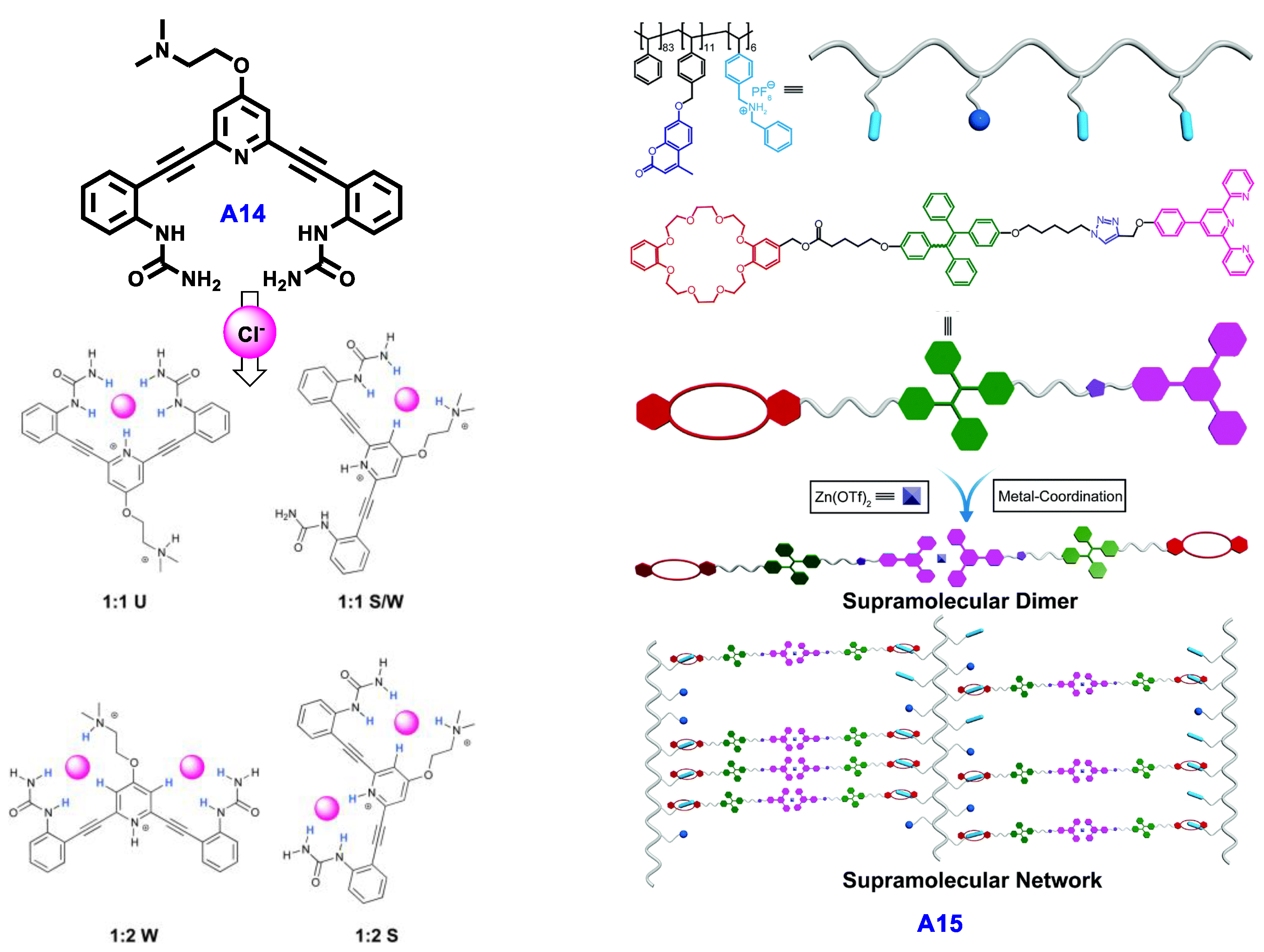 Molecules 24 02711 sch002