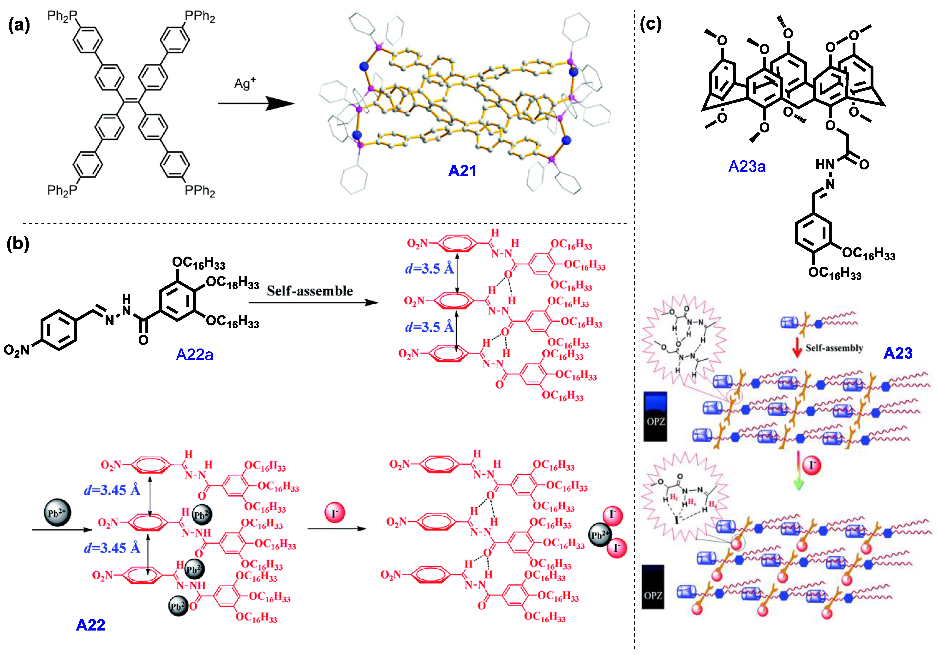 Molecules 24 02711 sch004