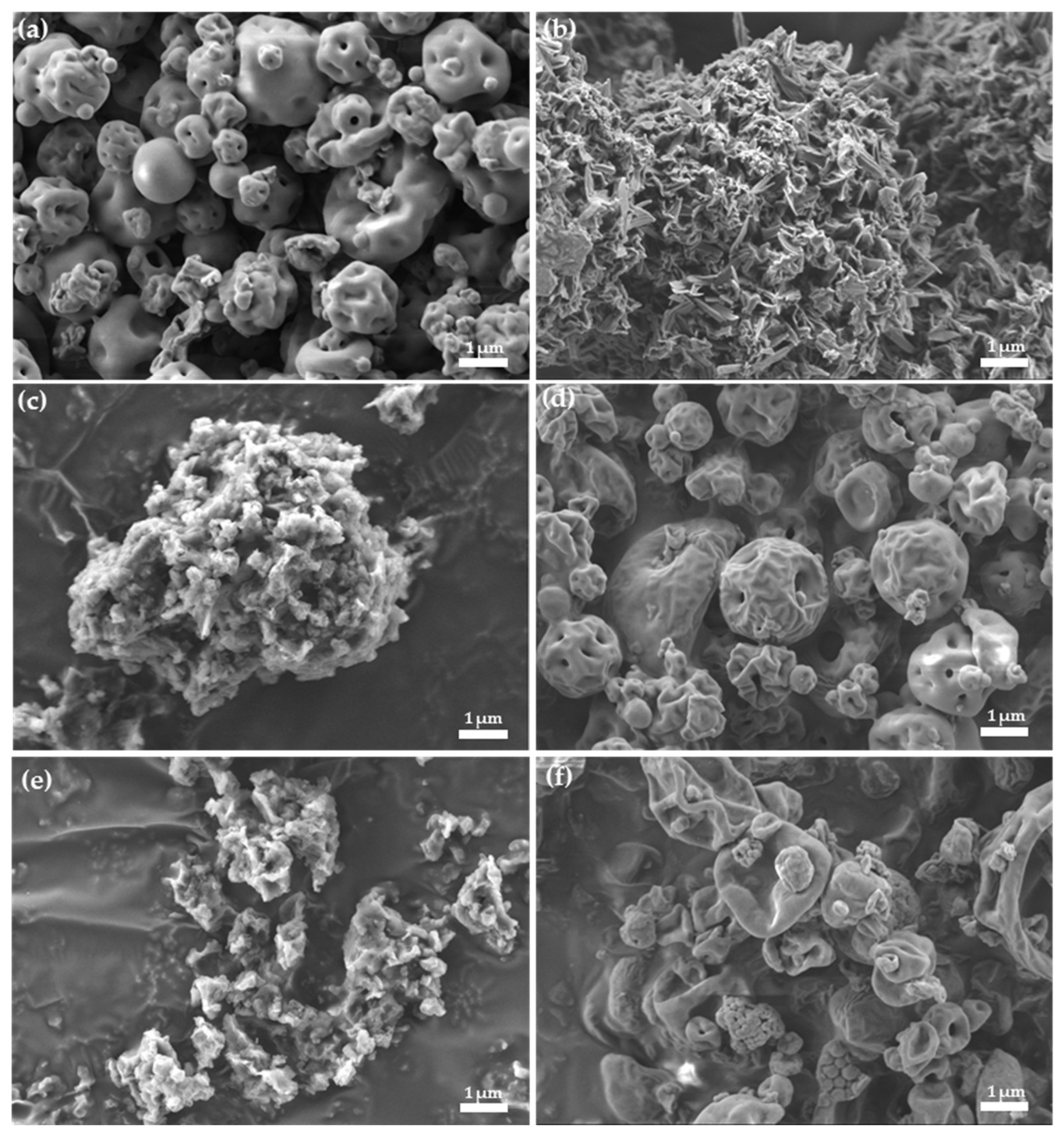 Molecules 24 02715 g004