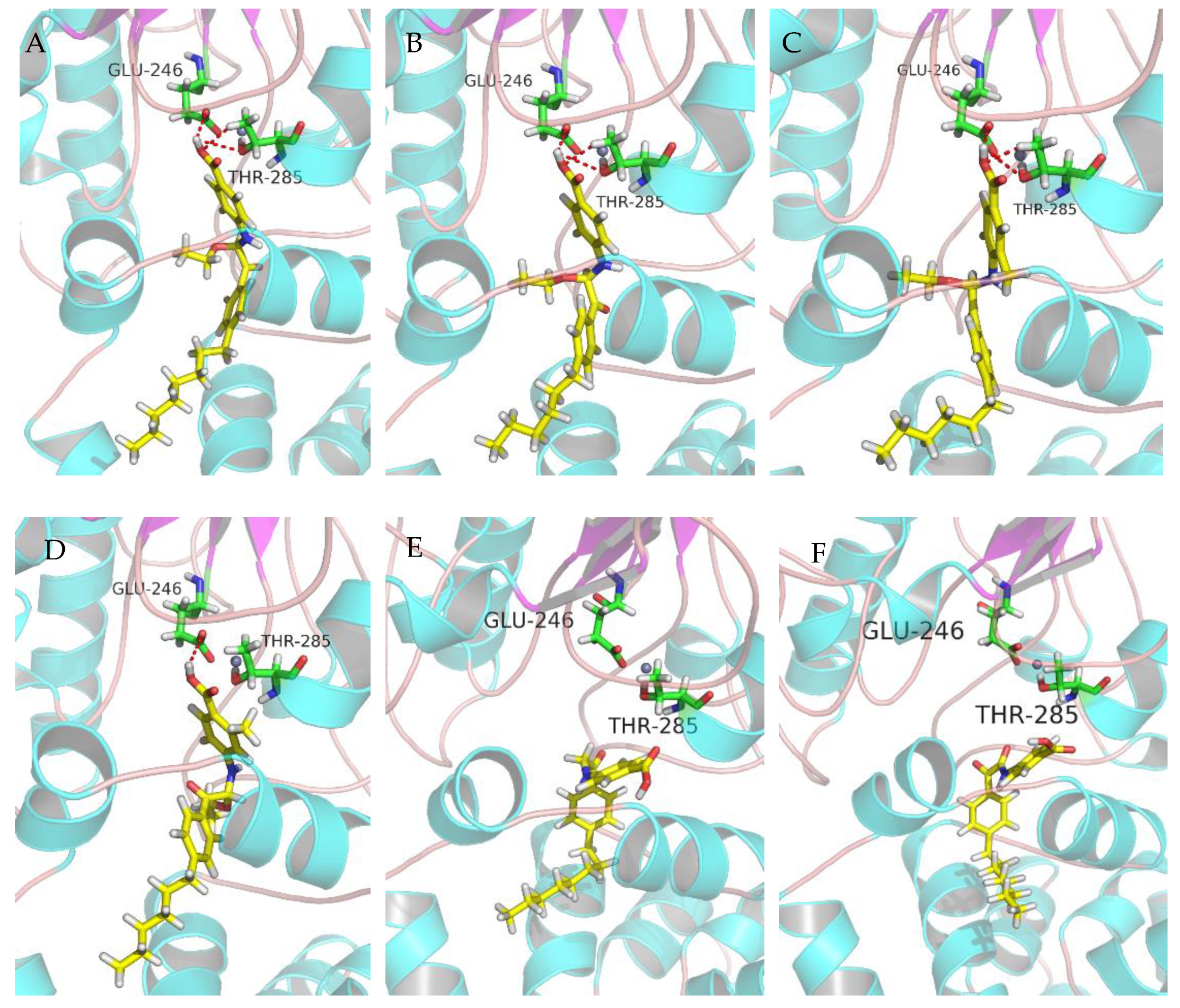 Molecules 24 02719 g005 Molecules 24 02719 g005