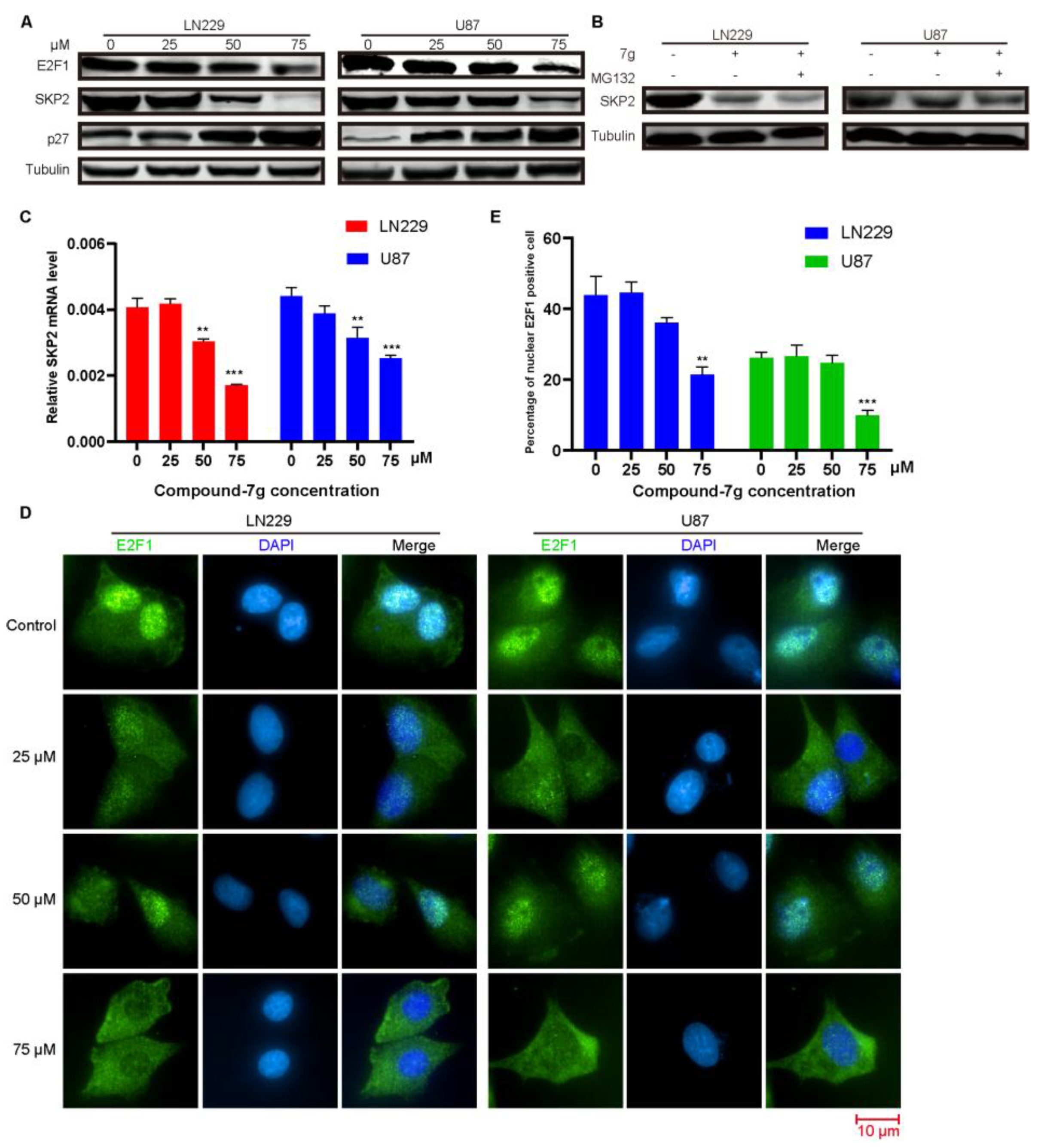 Molecules 24 02722 g002