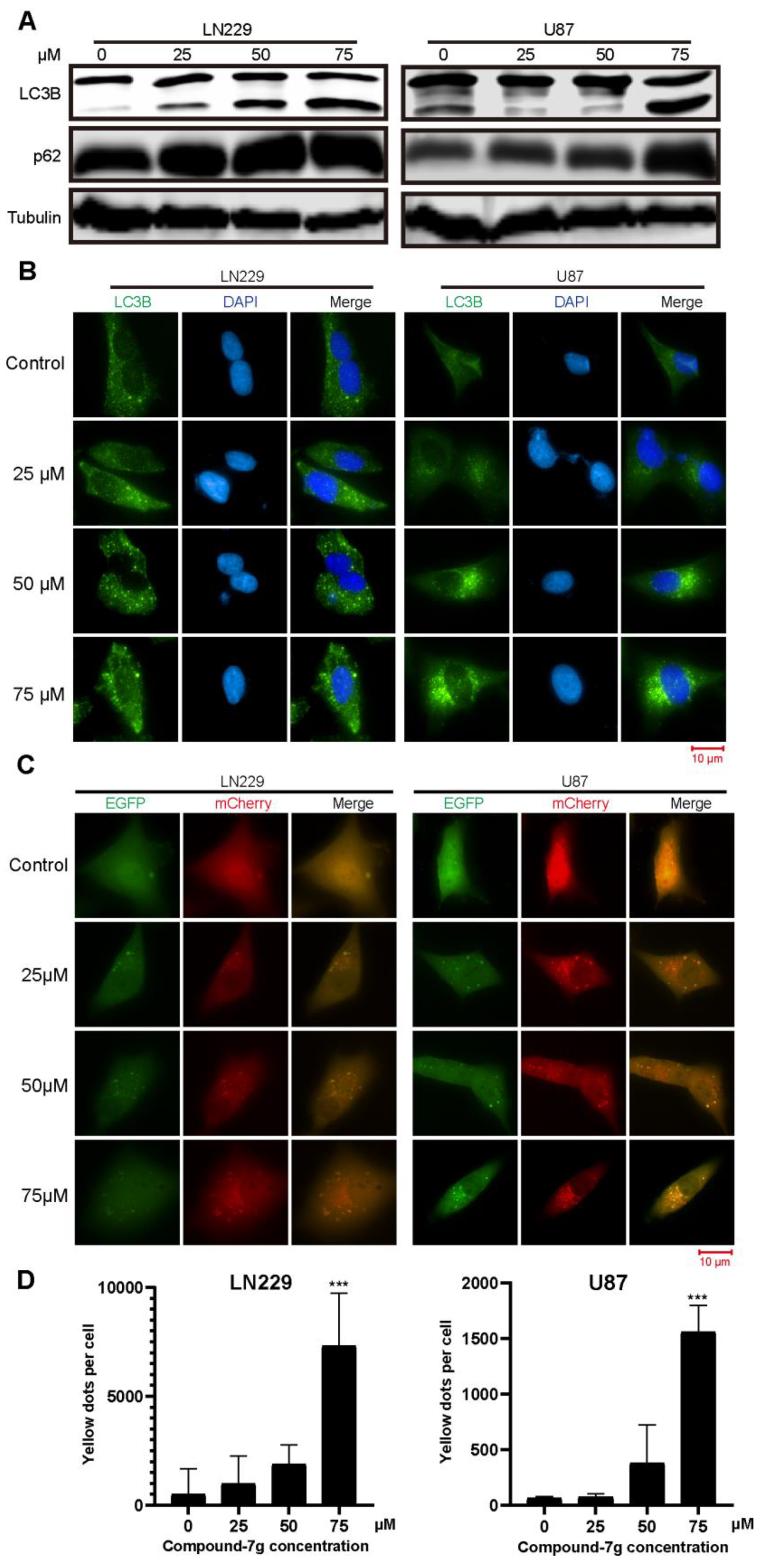 Molecules 24 02722 g004