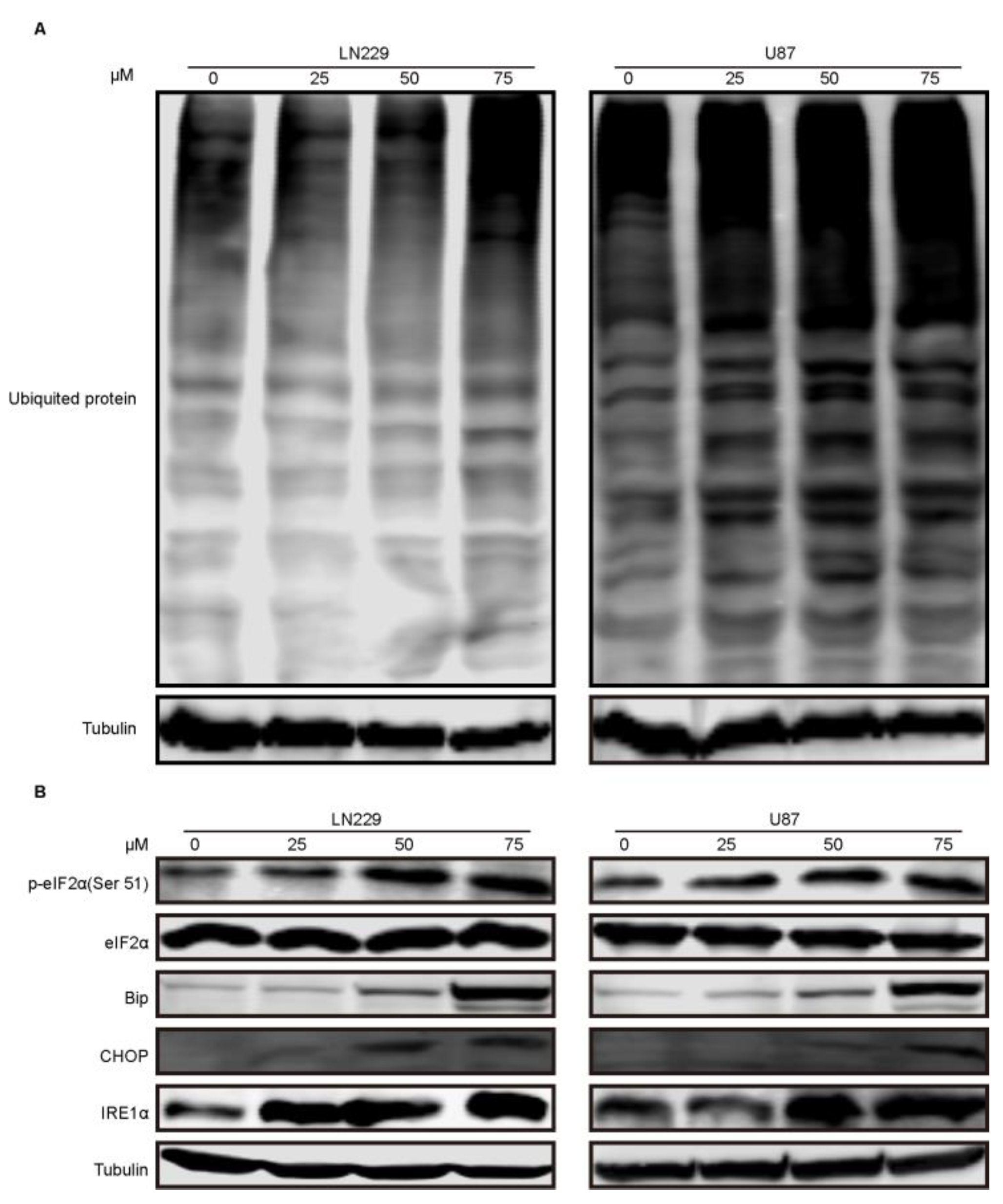Molecules 24 02722 g005