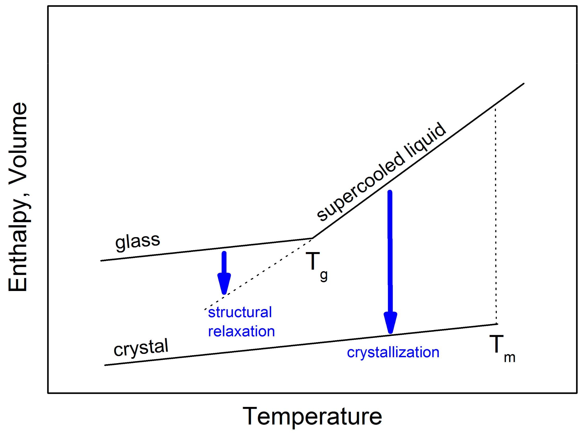Molecules 24 02725 g001 550