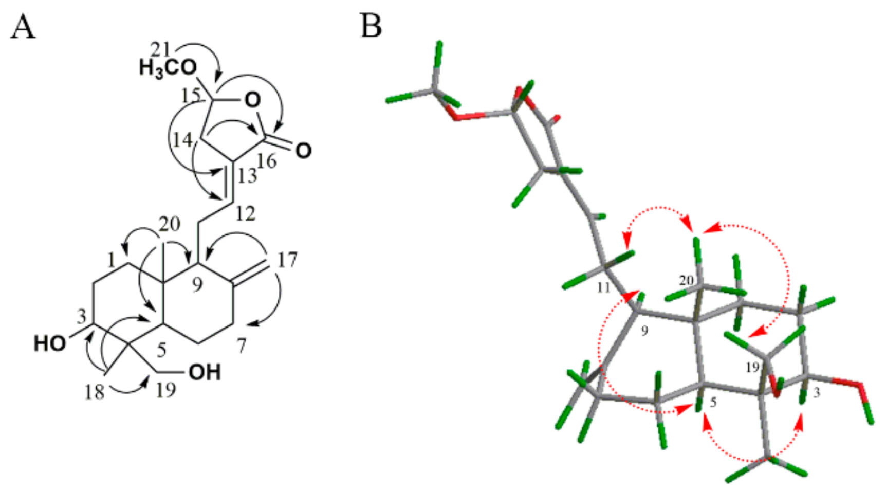 Molecules 24 02726 g003 Molecules 24 02726 g003