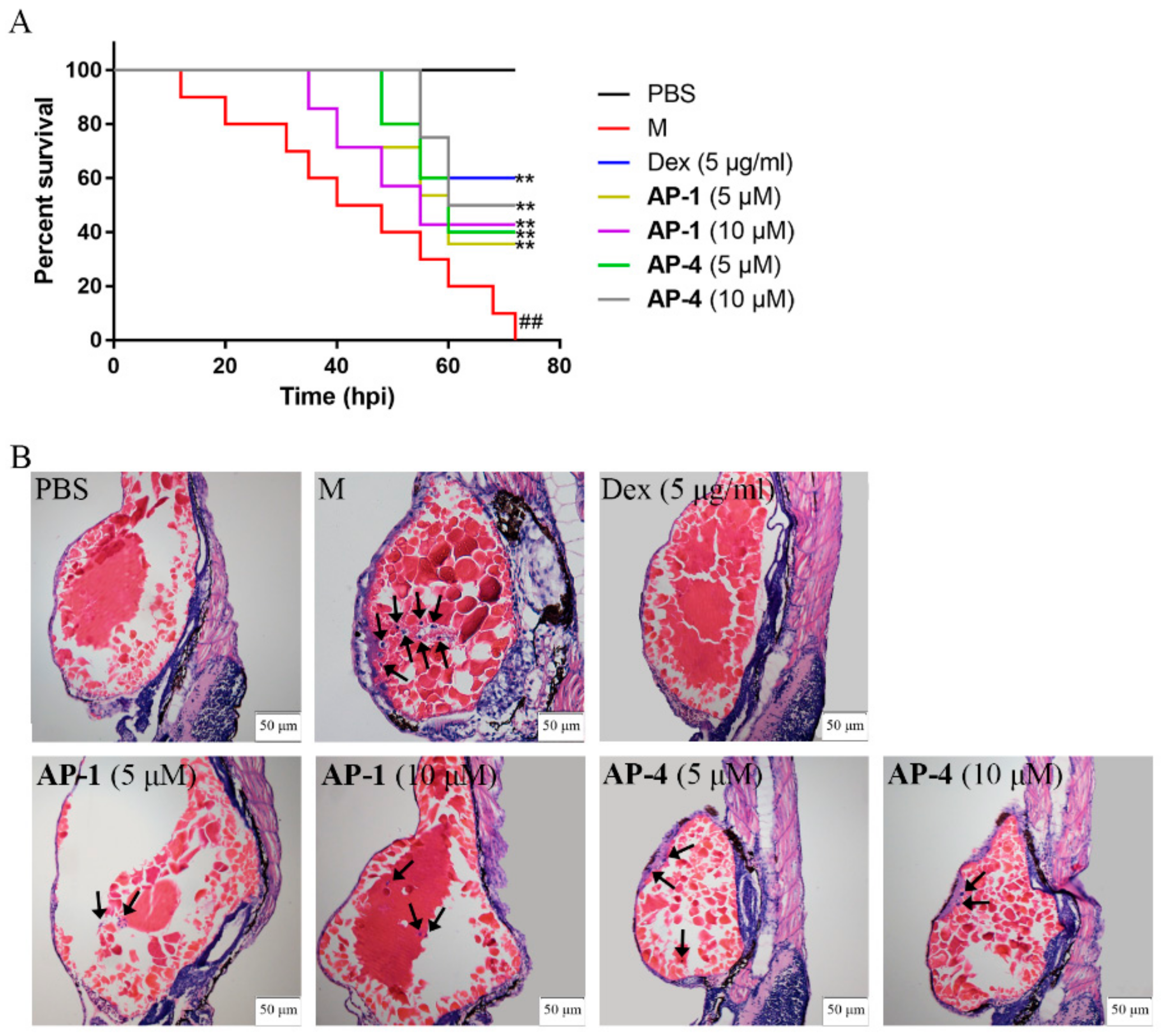 Molecules 24 02726 g011 Molecules 24 02726 g011