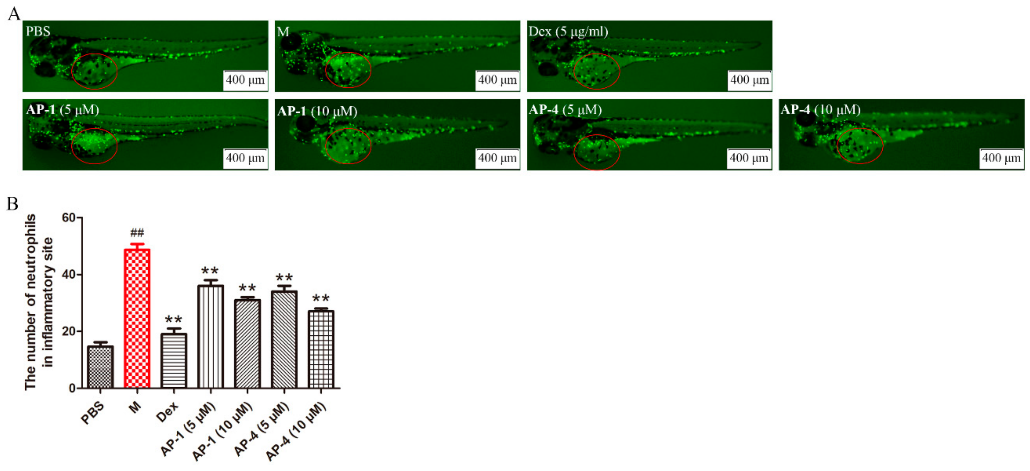 Molecules 24 02726 g012 Molecules 24 02726 g012
