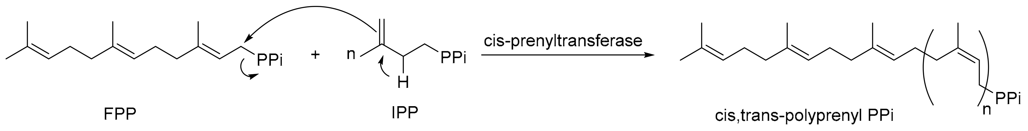 Molecules 24 02728 g001