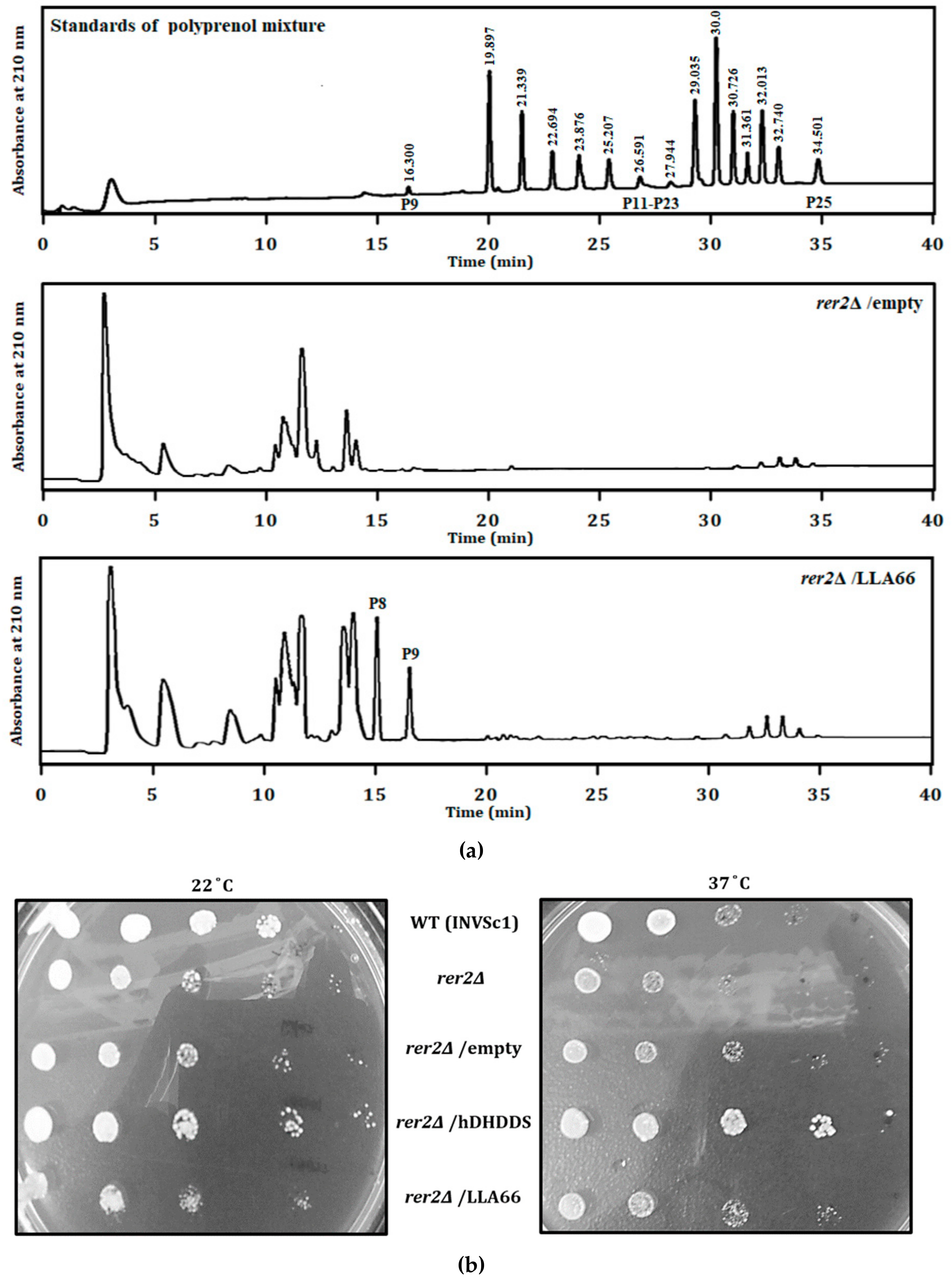 Molecules 24 02728 g002