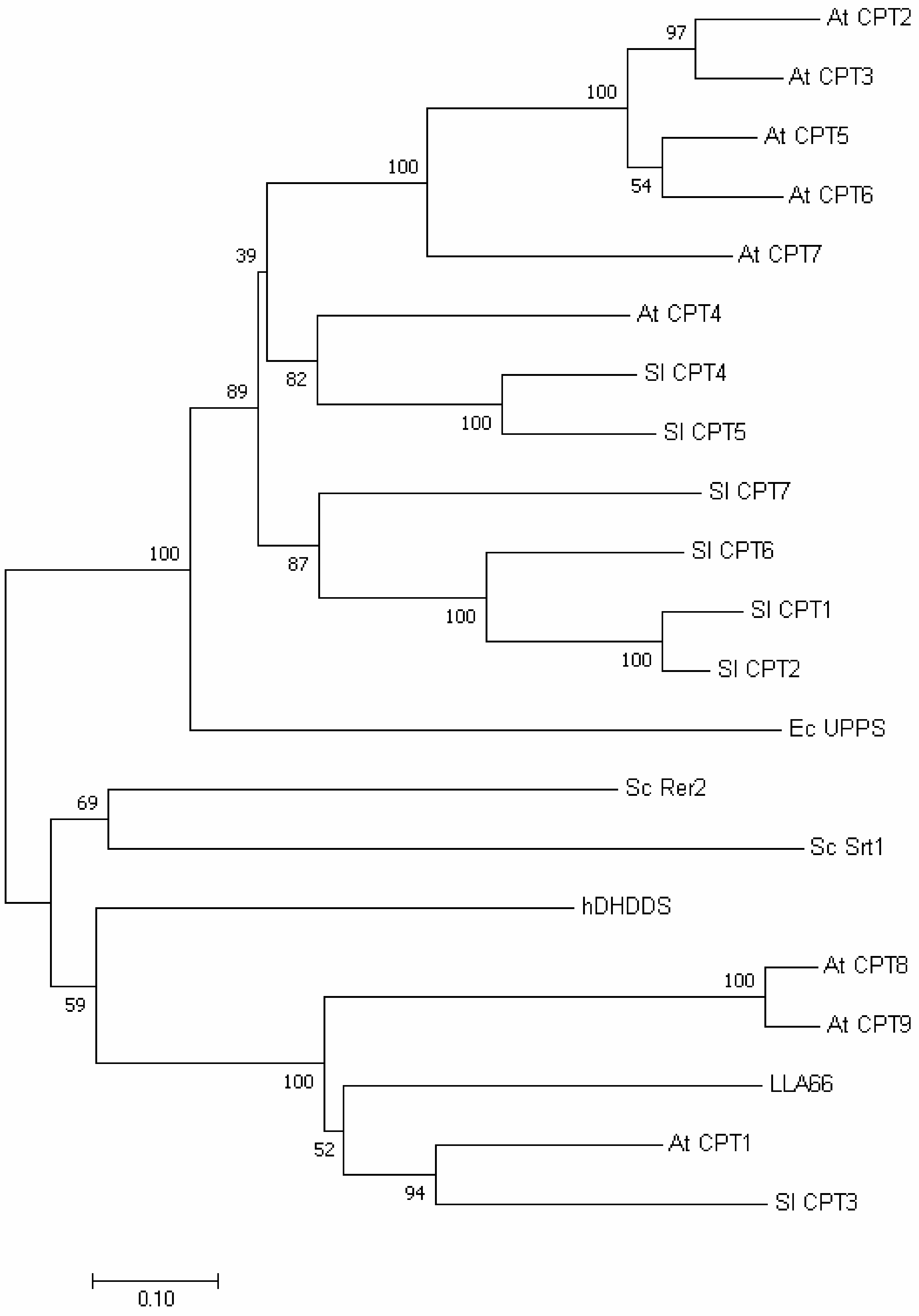 Molecules 24 02728 g005