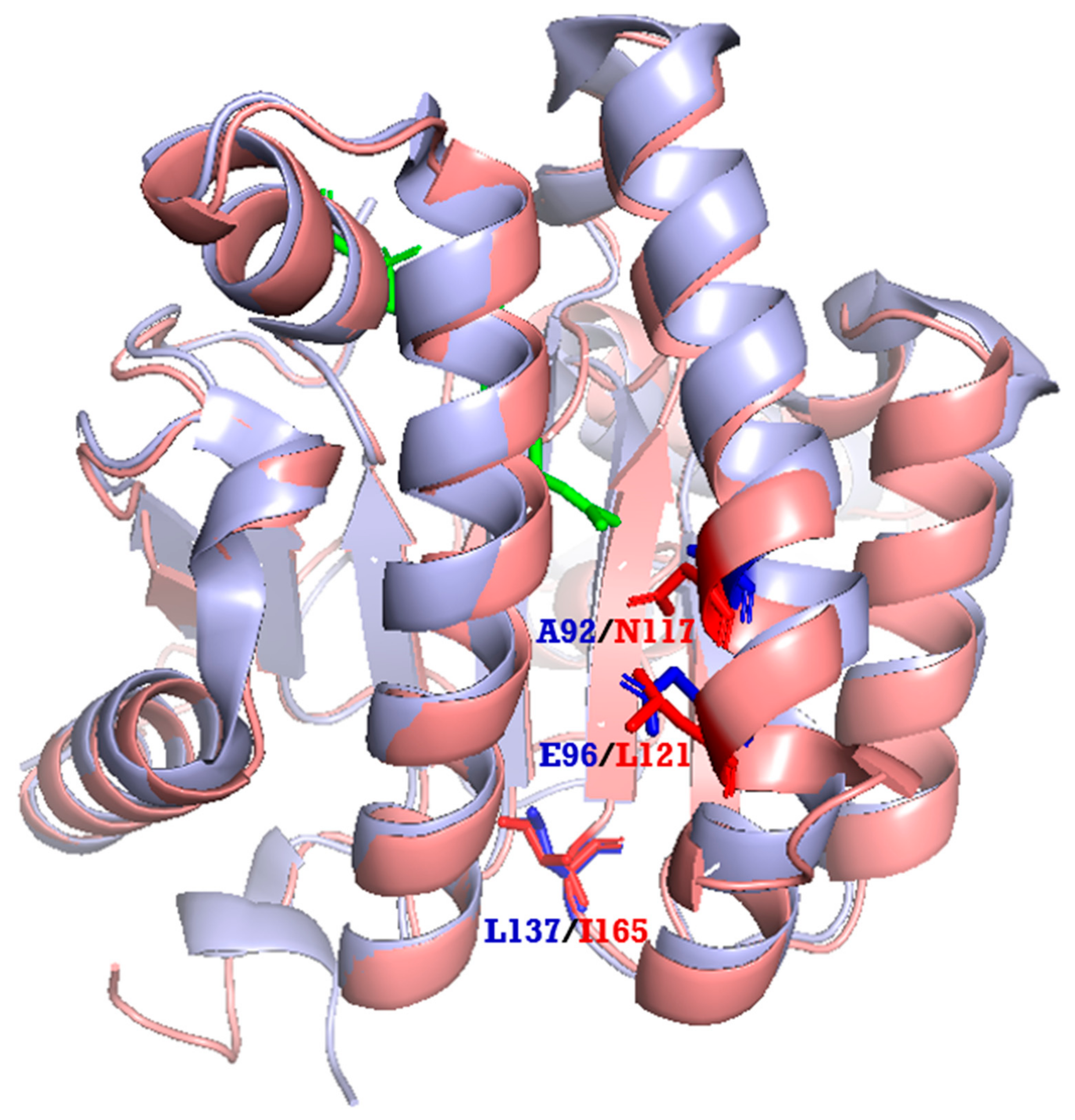 Molecules 24 02728 g006