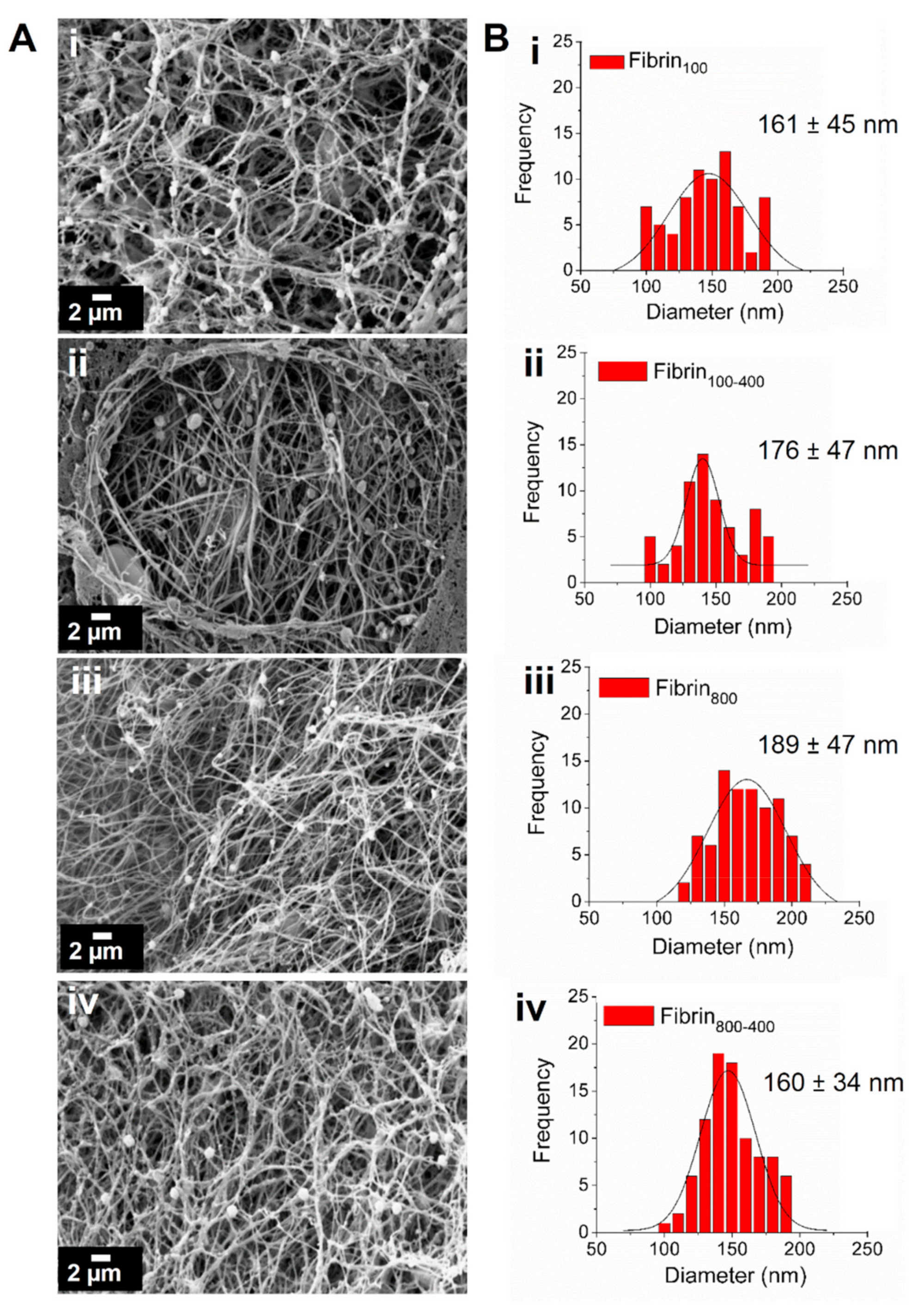 Molecules 24 02729 g004