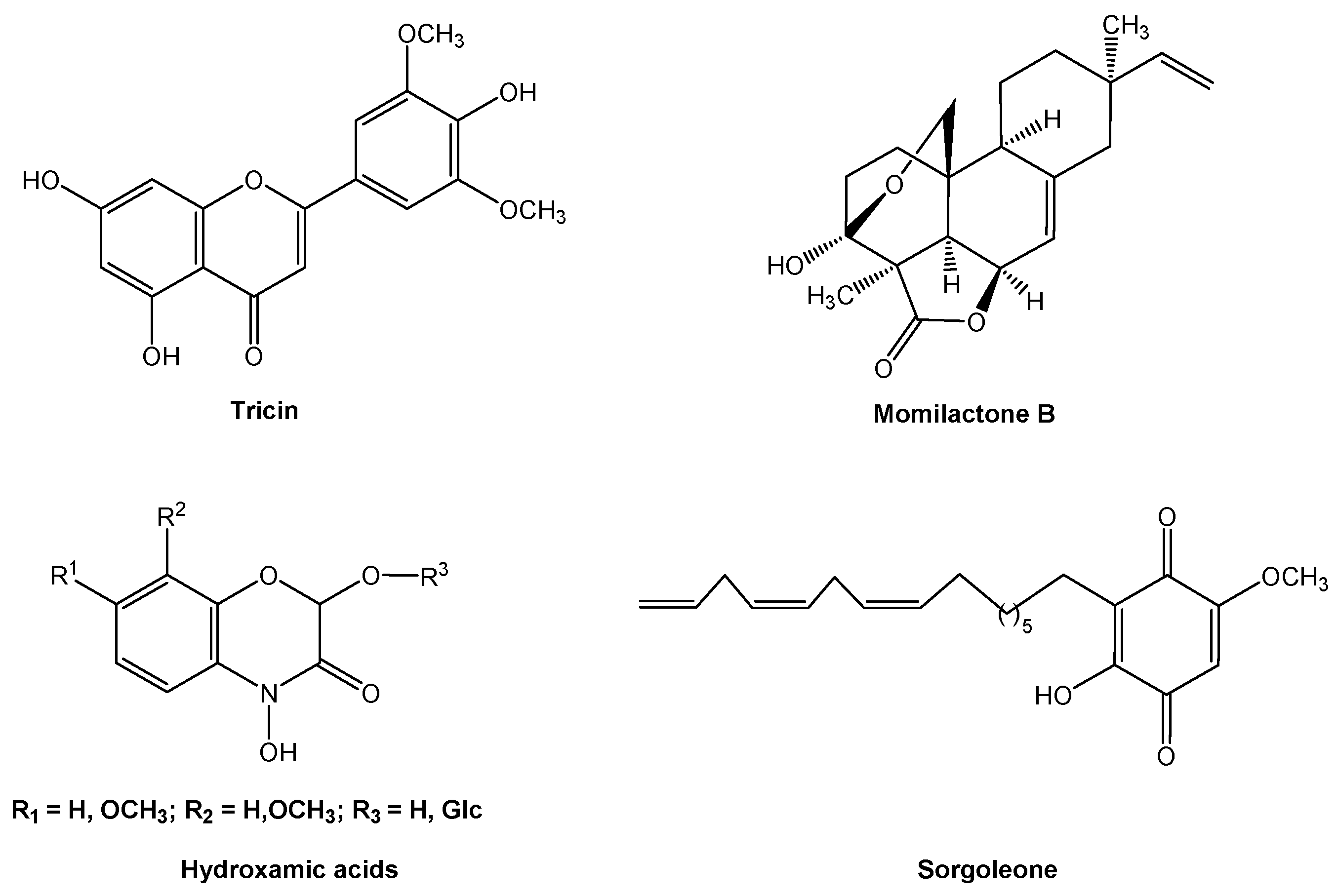 Molecules 24 02737 g003