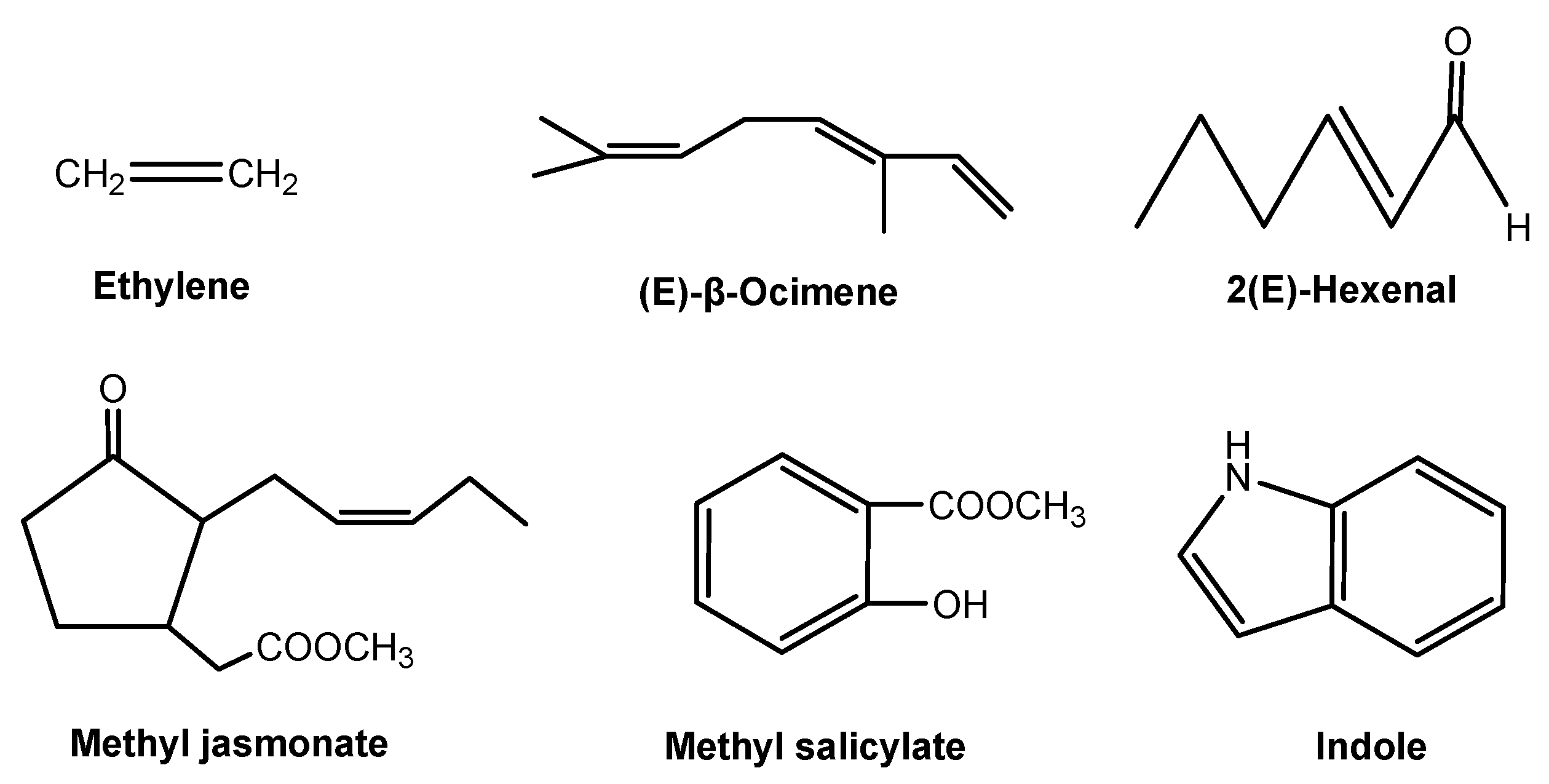 Molecules 24 02737 g005