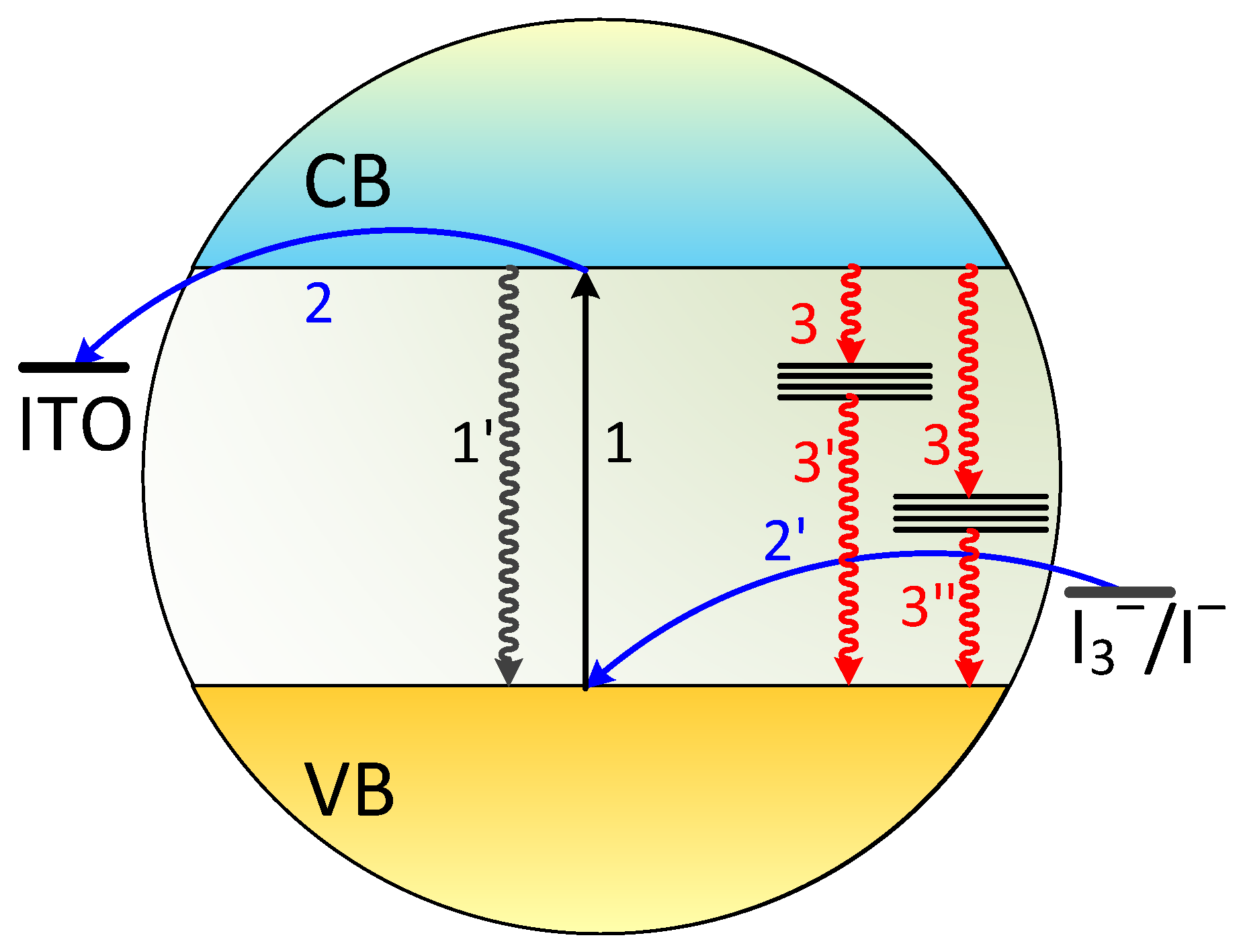 Molecules 24 02738 g004 Molecules 24 02738 g004