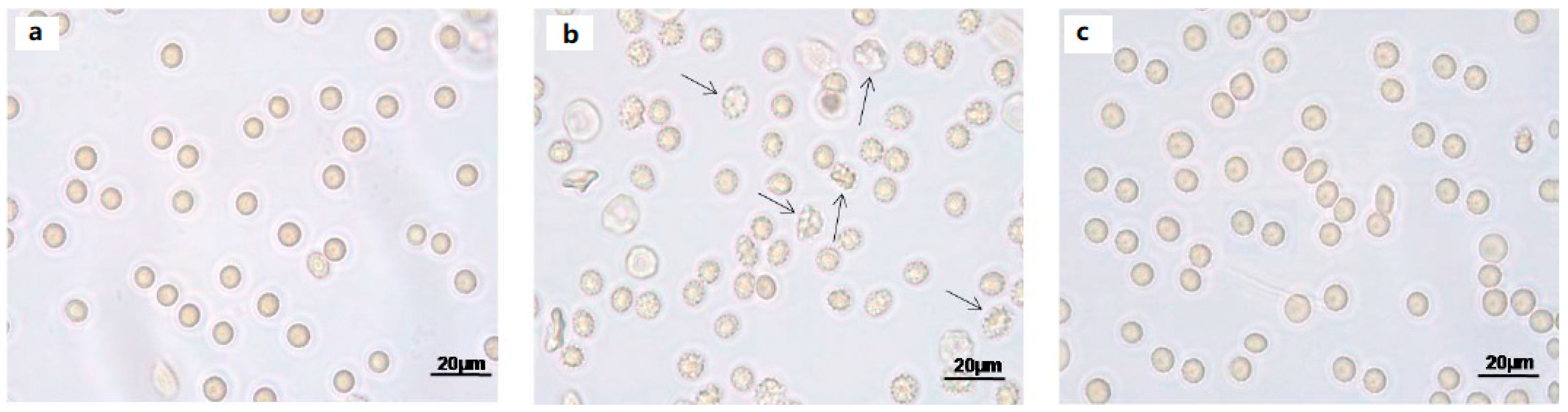 Molecules 24 02741 g002 Molecules 24 02741 g002