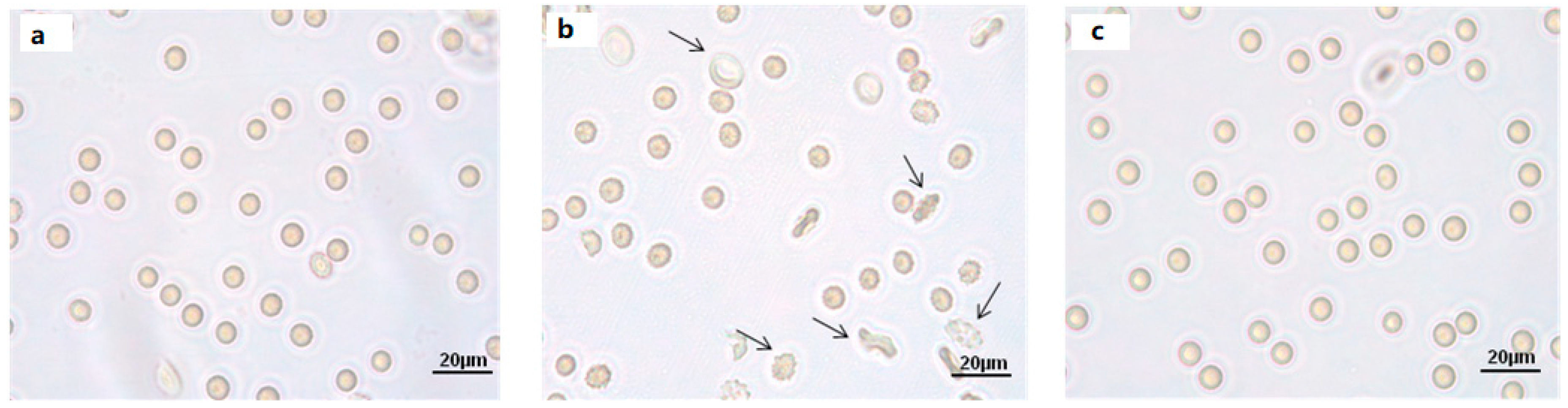 Molecules 24 02741 g005 Molecules 24 02741 g005