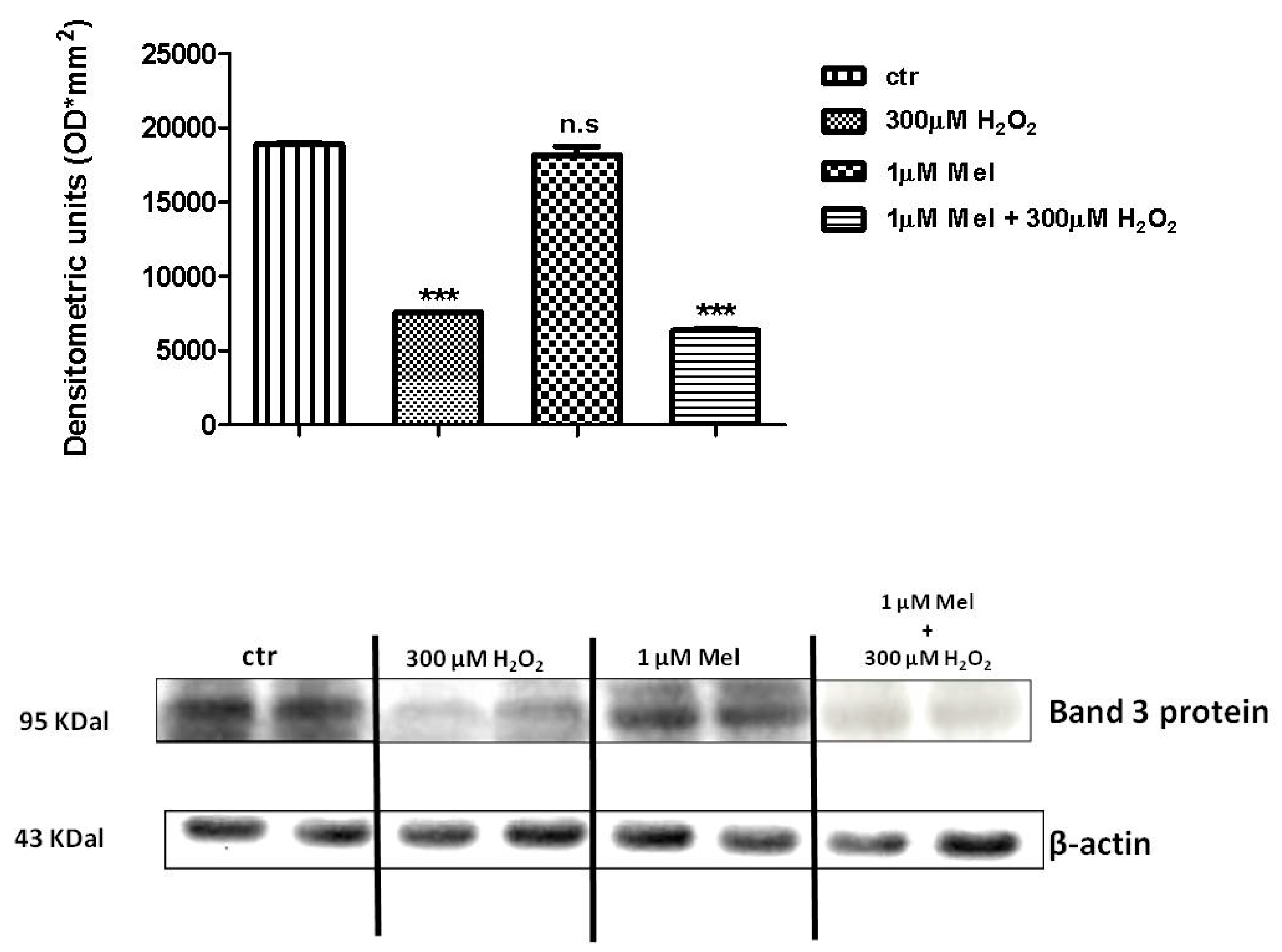 Molecules 24 02741 g008 Molecules 24 02741 g008
