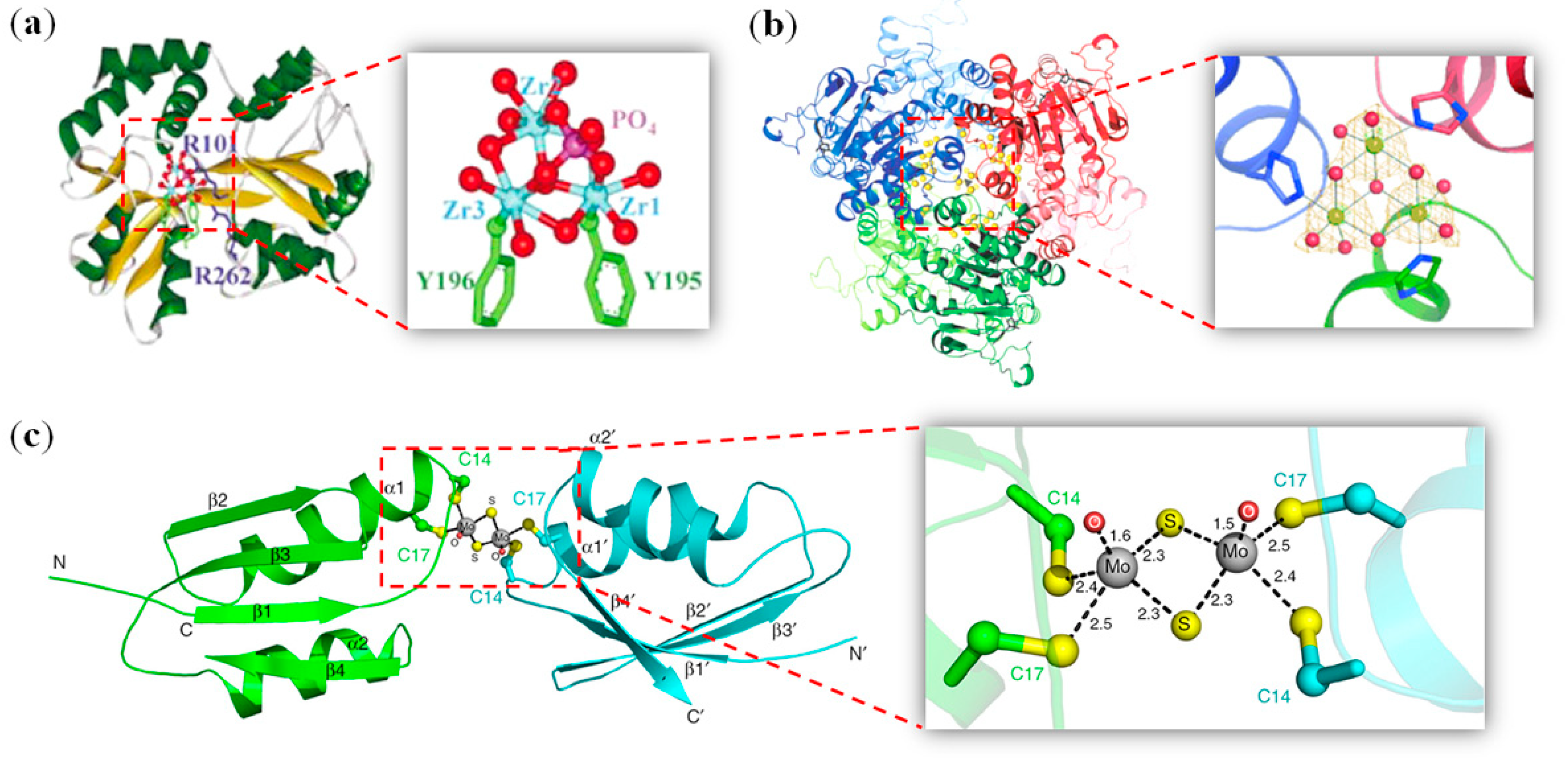 Metalloproteins: Structural Aspects