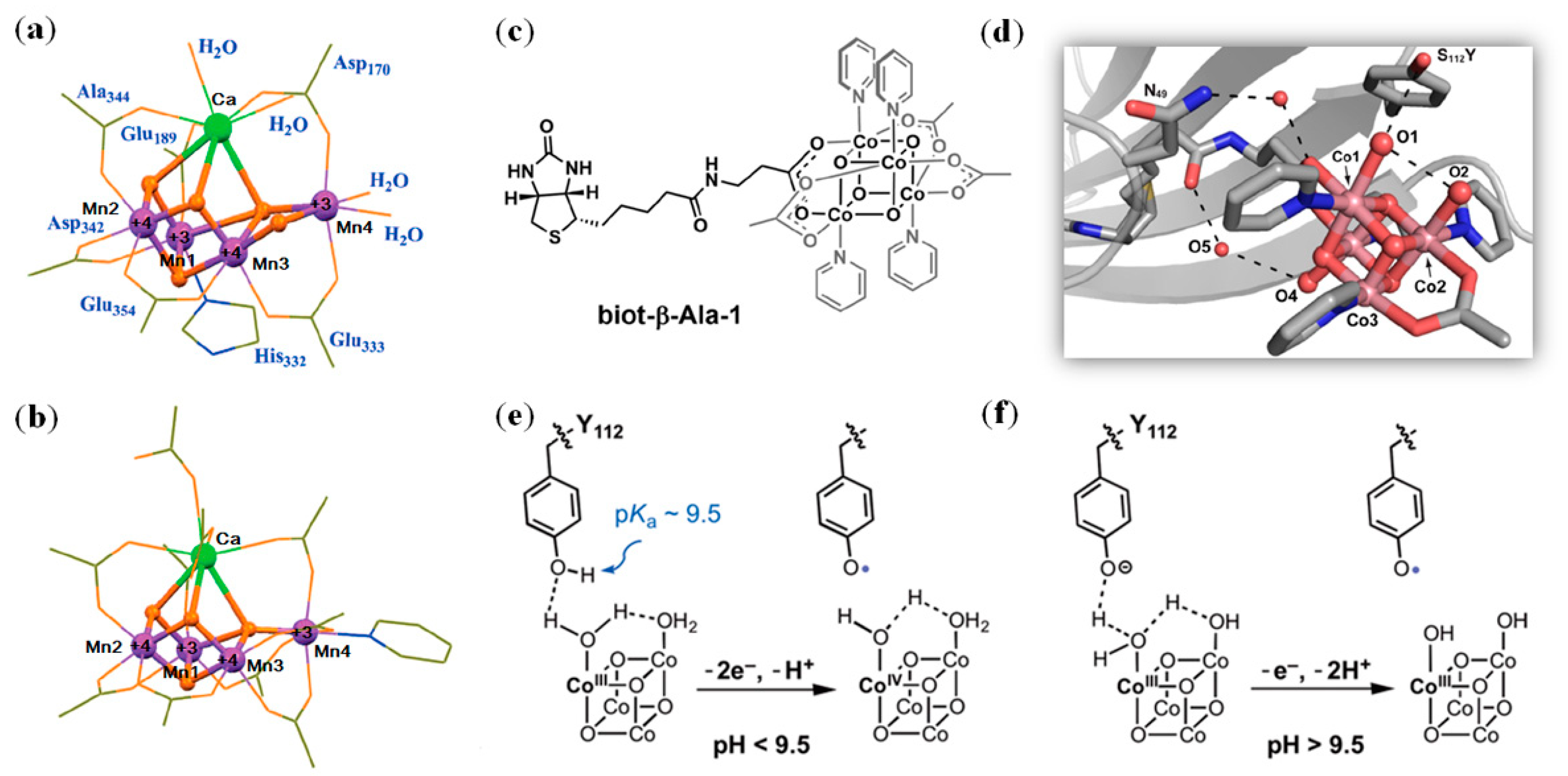Molecules 24 02743 g009 Molecules 24 02743 g009