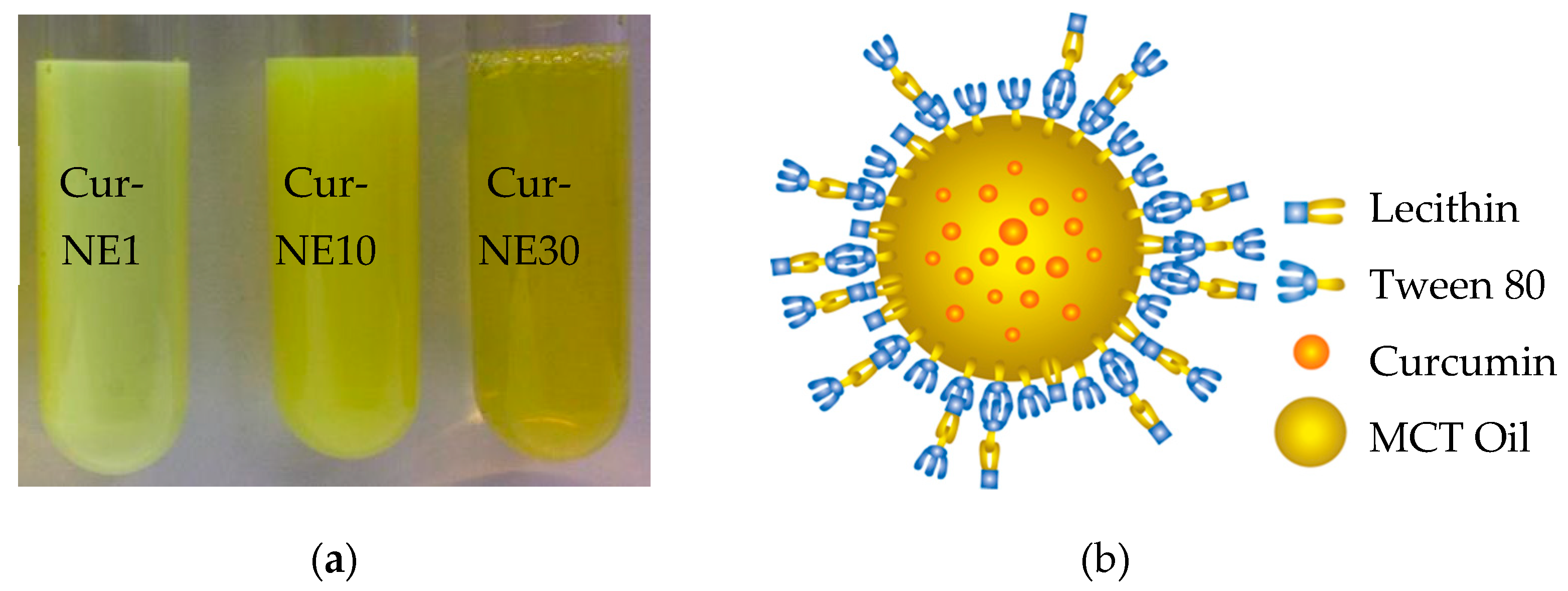 Molecules 24 02744 g001 Molecules 24 02744 g001
